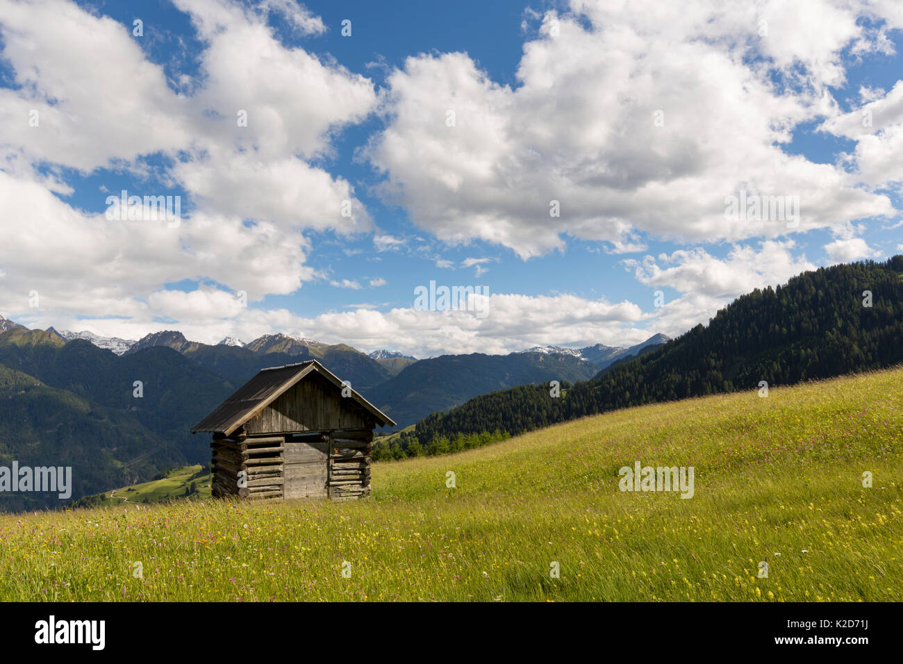 Fienile in prato alpino. Nordtirol, Alpi austriache, in Austria, in giugno. Foto Stock