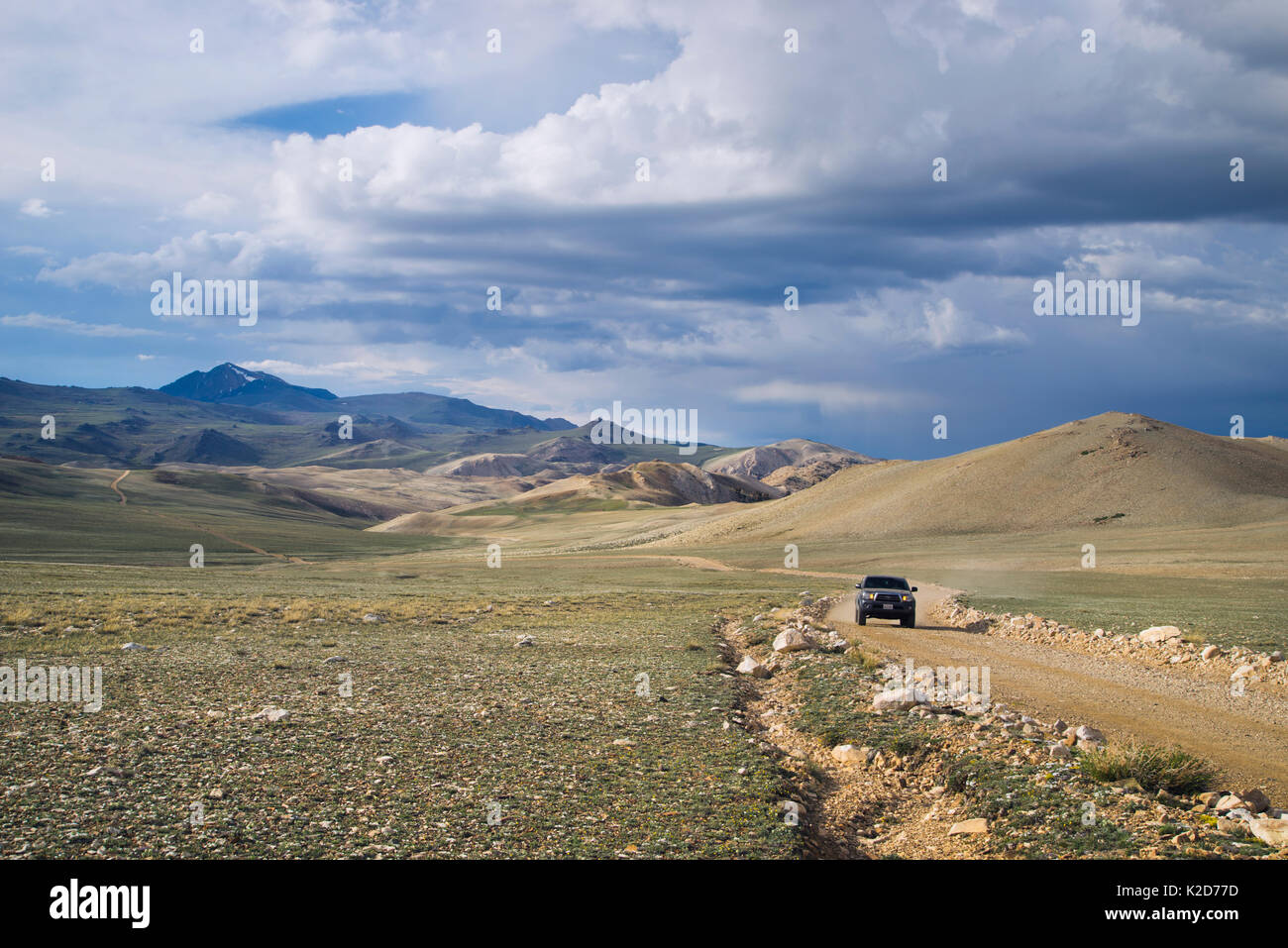 La guida del telecomando strade sterrate, 11000ft di altitudine, White Mountains, California, USA, Giugno Foto Stock