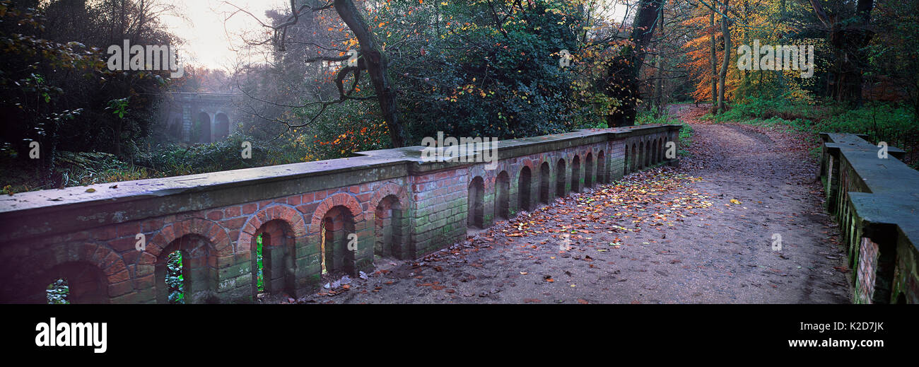 Ponte degli uccelli in autunno con scattering su foglie, Hampstead Heath, Londra, Inghilterra, Regno Unito. Foto Stock