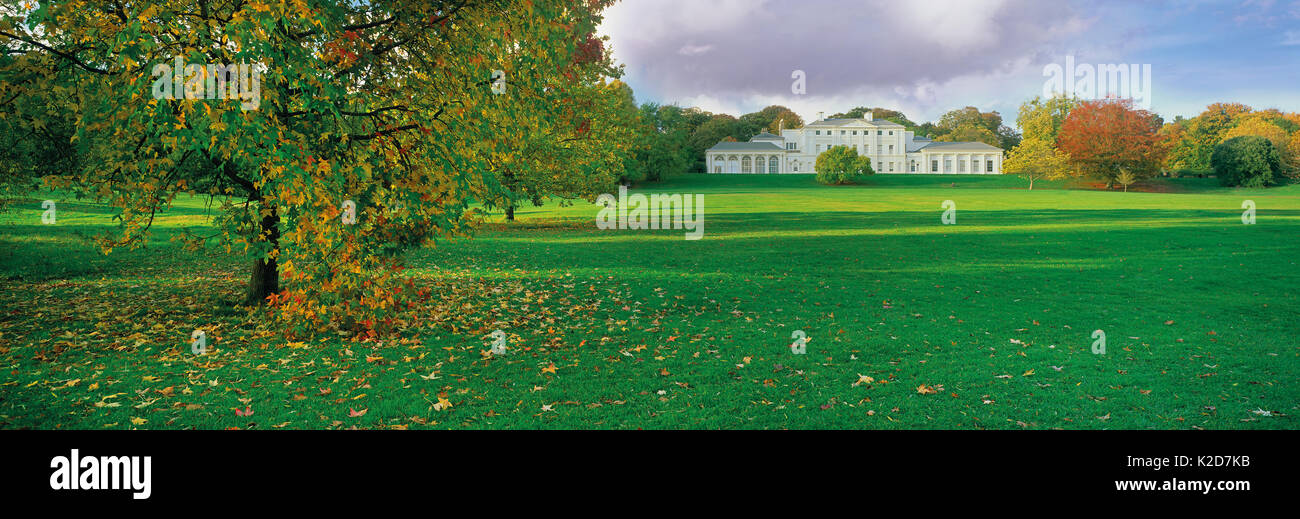 Panoramica dei prati e alberi autunnali di fronte Kenwood House, Hampstead Heath, Londra, Inghilterra, Regno Unito. Foto Stock
