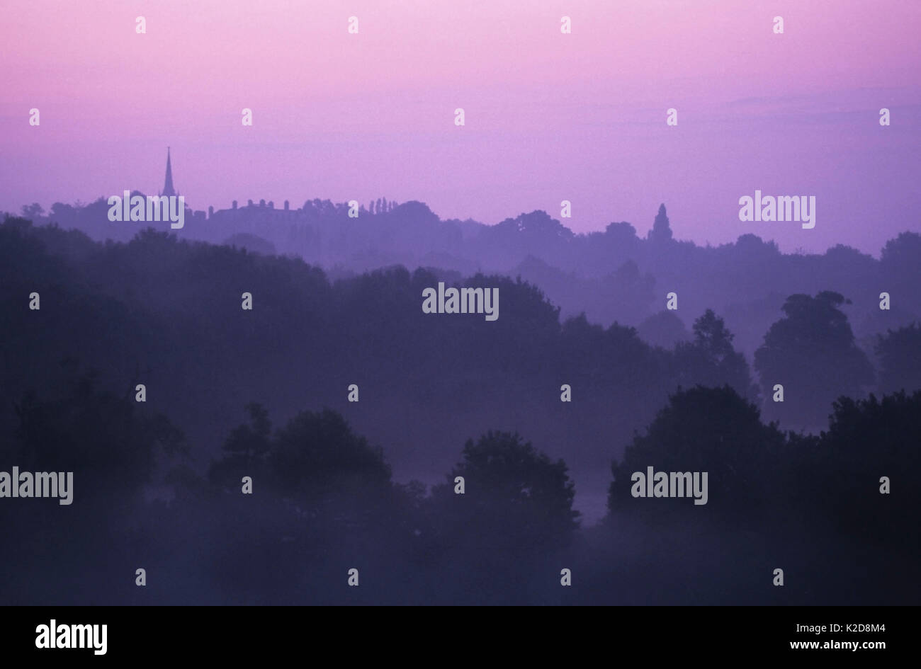 Vista della chiesa di San Michele a Alba con nebbia da Hampstead Heath, Londra, Inghilterra, Regno Unito. Foto Stock
