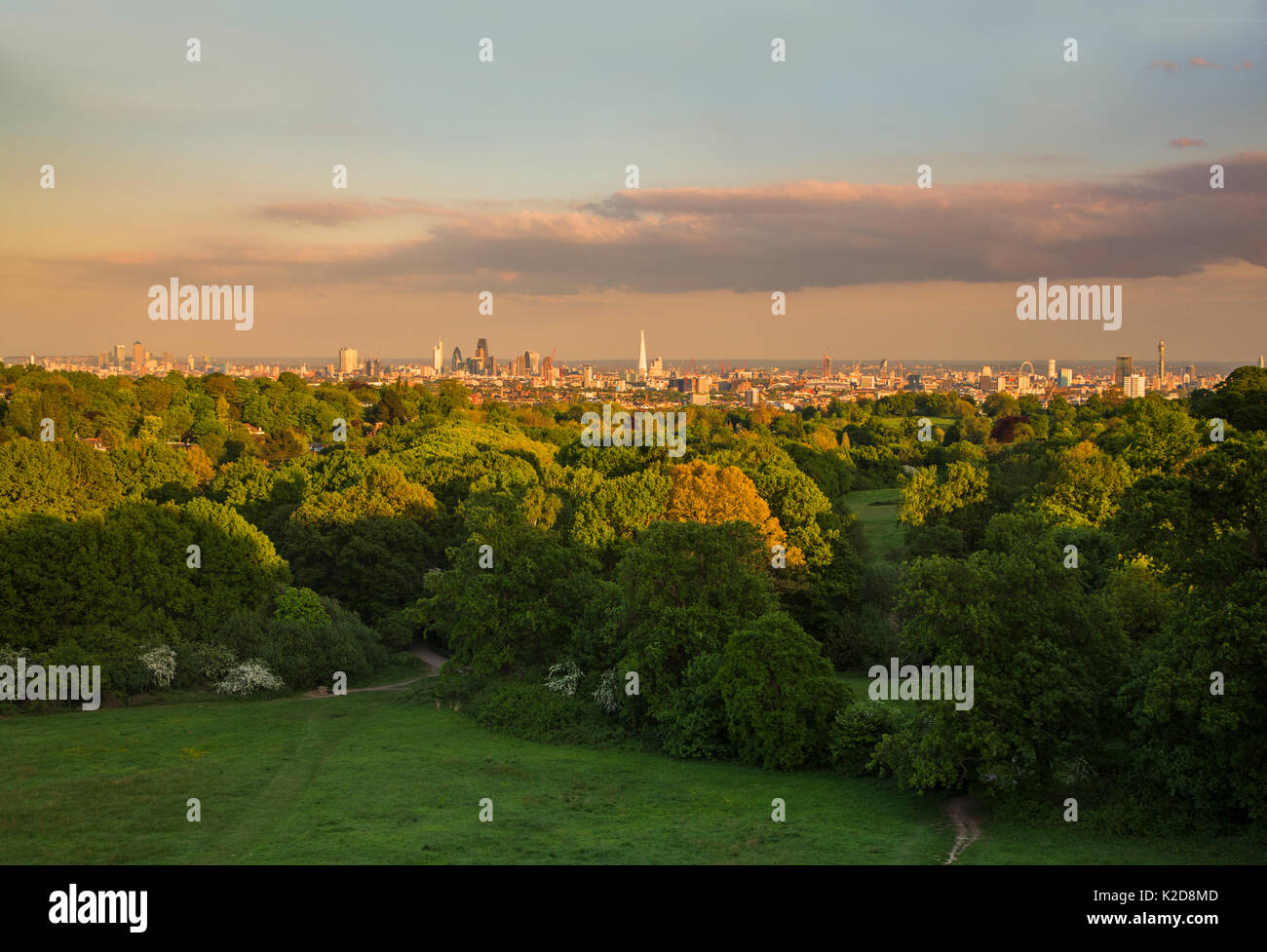 Vista della città di Londra prese da un (MEWP) Mobile elevata piattaforma di lavoro, Hampstead Heath, London, England, Regno Unito, maggio 2015. Foto Stock