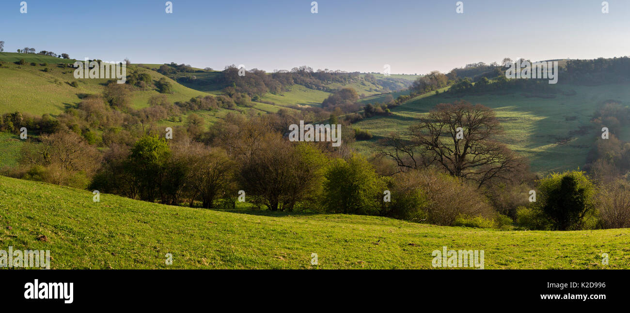 Colline e marsh a Santa Caterina Valle, siti di particolare interesse scientifico (SSSI), bagno, South Gloucestershire, UK. Aprile 2015. Foto Stock