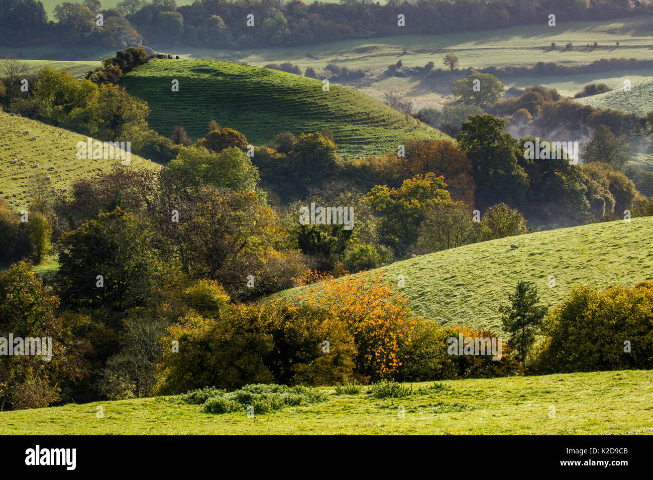 Autunno vista verso St. Catherines Valley da freddo Ashton, nel Gloucestershire. Santa Caterina la valle è un sito biologico di particolare interesse scientifico. Ottobre 2015. Foto Stock
