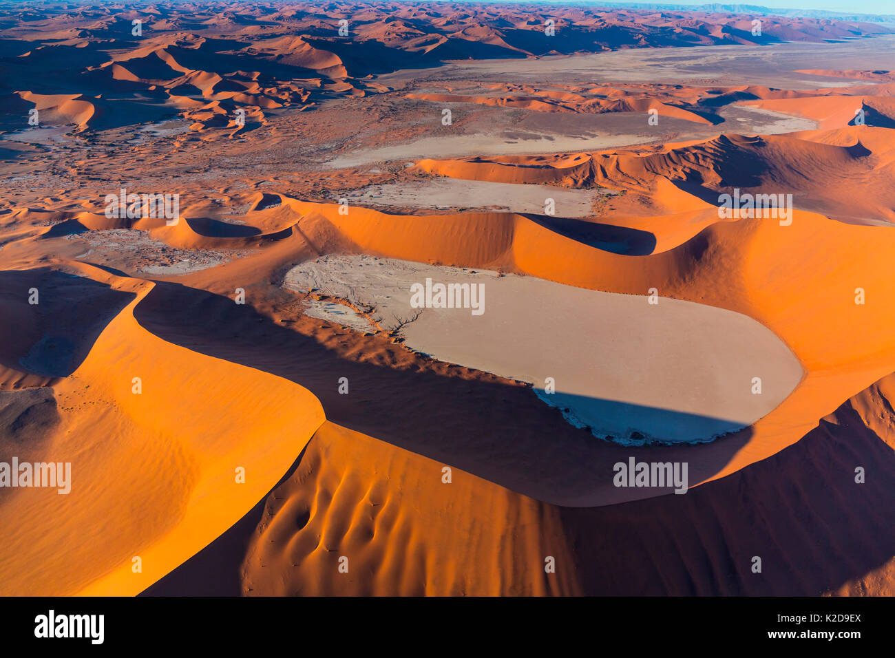 Vista aerea di Deadvlei con dune di sabbia habitat, Namib-Naukluft National Park, Namibia Foto Stock