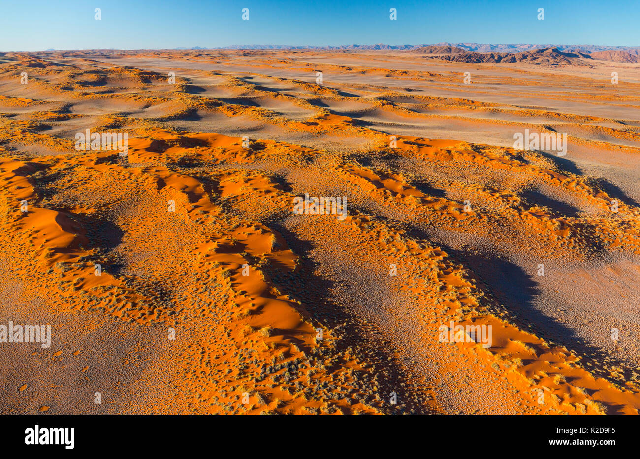 Vista aerea del Namib-Naukluft National Park con dune di sabbia habitat, Namibia Foto Stock