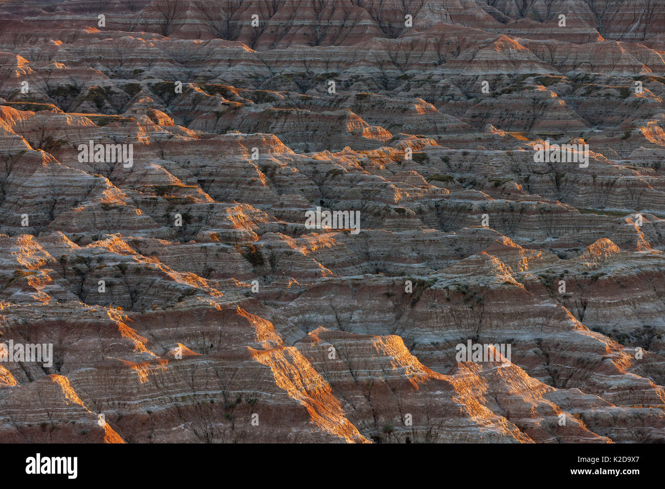 Paesaggio eroso, arenaria striature e le caratteristiche di erosione, Parco nazionale Badlands, Dakota del Sud, Stati Uniti d'America Settembre 2014. Foto Stock