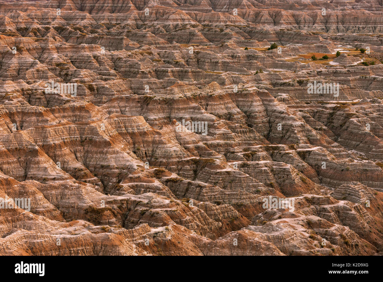Paesaggio eroso, arenaria striature e le caratteristiche di erosione, Parco nazionale Badlands, Dakota del Sud, Stati Uniti d'America Settembre 2014. Foto Stock