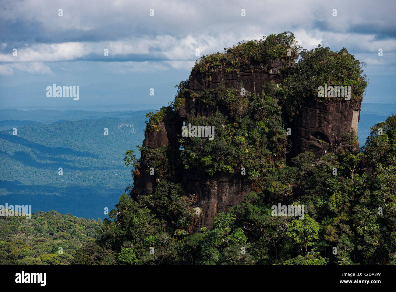 Tepui, flat top mountain, in Kupinang, regione Potaro-Siparuni, Brasile Guyana frontiera, Guyana, Sud America Foto Stock