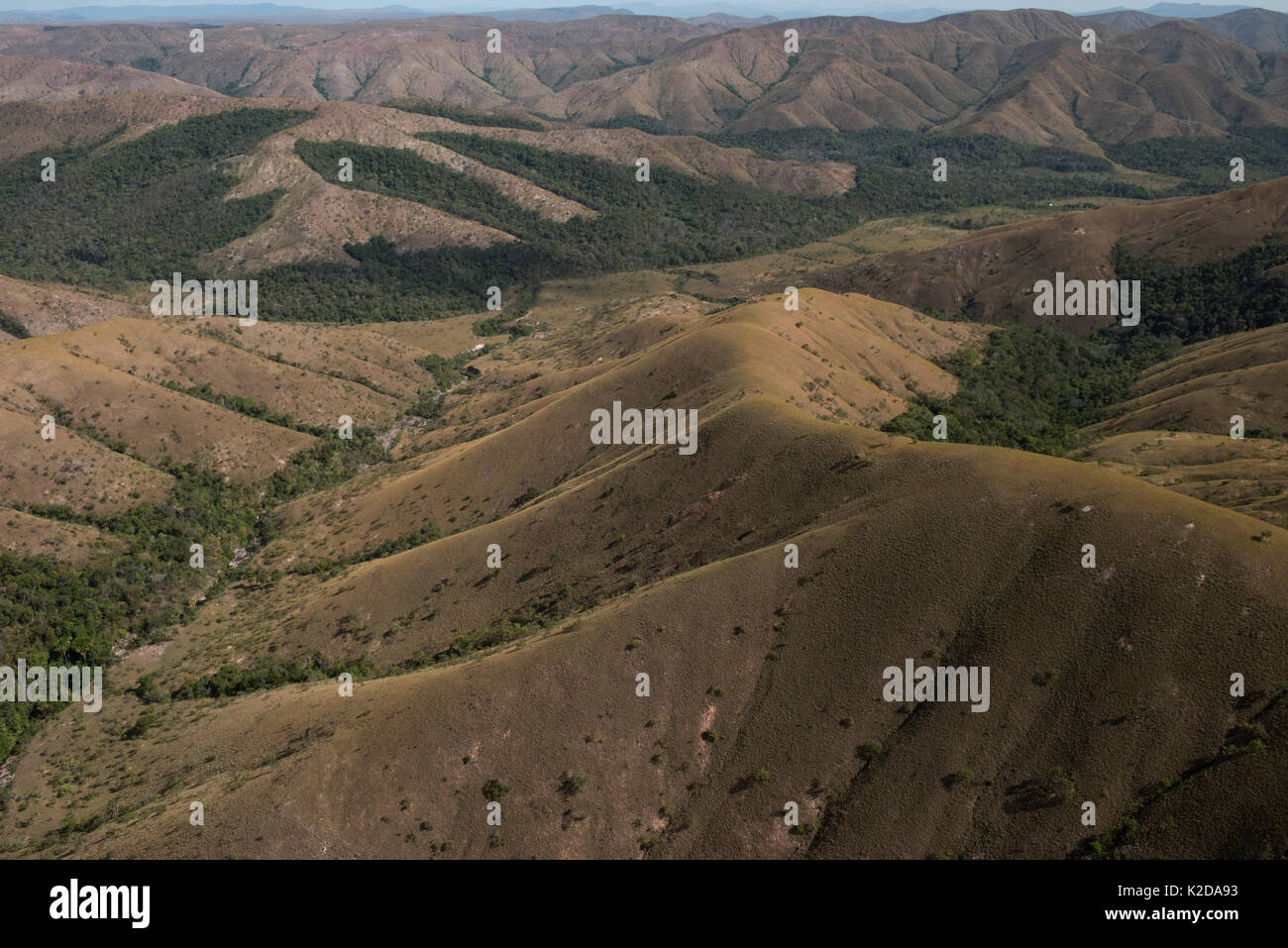 Vista aerea del Kupinang, agricoltura piste, Regione Potaro-Siparuni, Brasile Guyana frontiera, Sud America Foto Stock