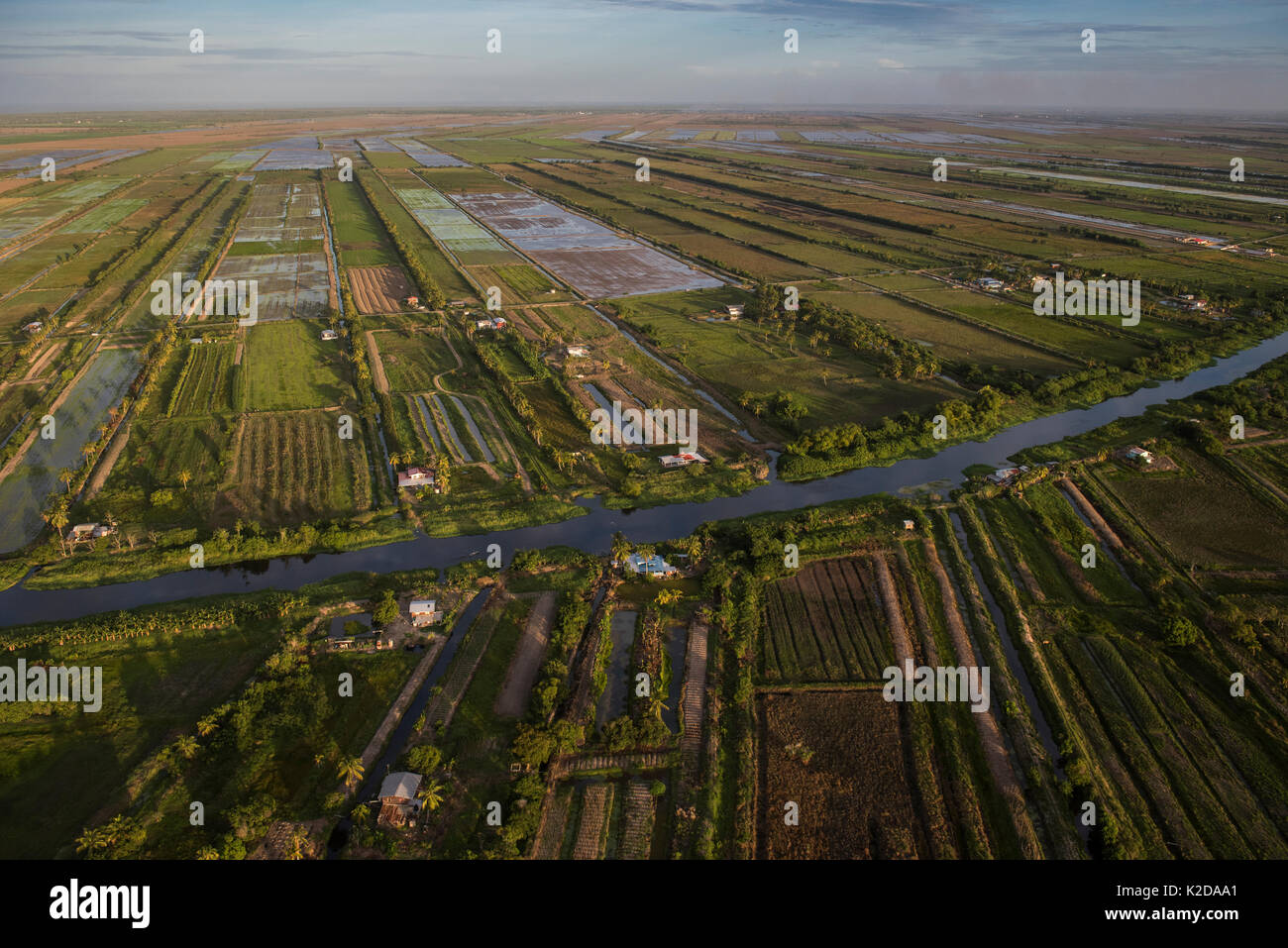 Vista aerea di agricoltura mista campi di Oriente Demerara Conservancy, a est di Georgetown, Guyana, Sud America Foto Stock