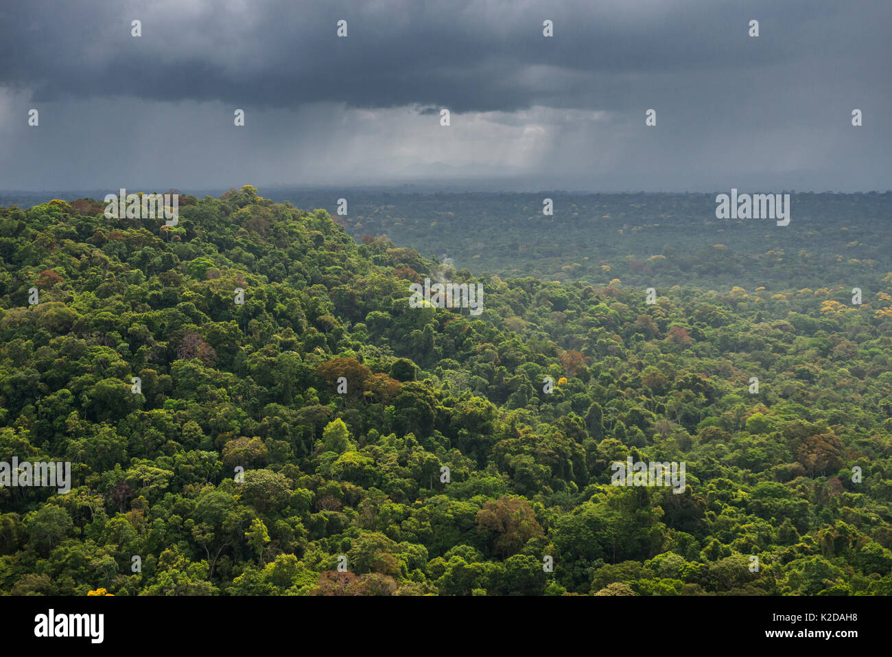 Tempesta di pioggia sulla foresta pluviale, fiume Essequibo regione 9, Iwokrama, Rupununi, Guyana, Sud America Foto Stock