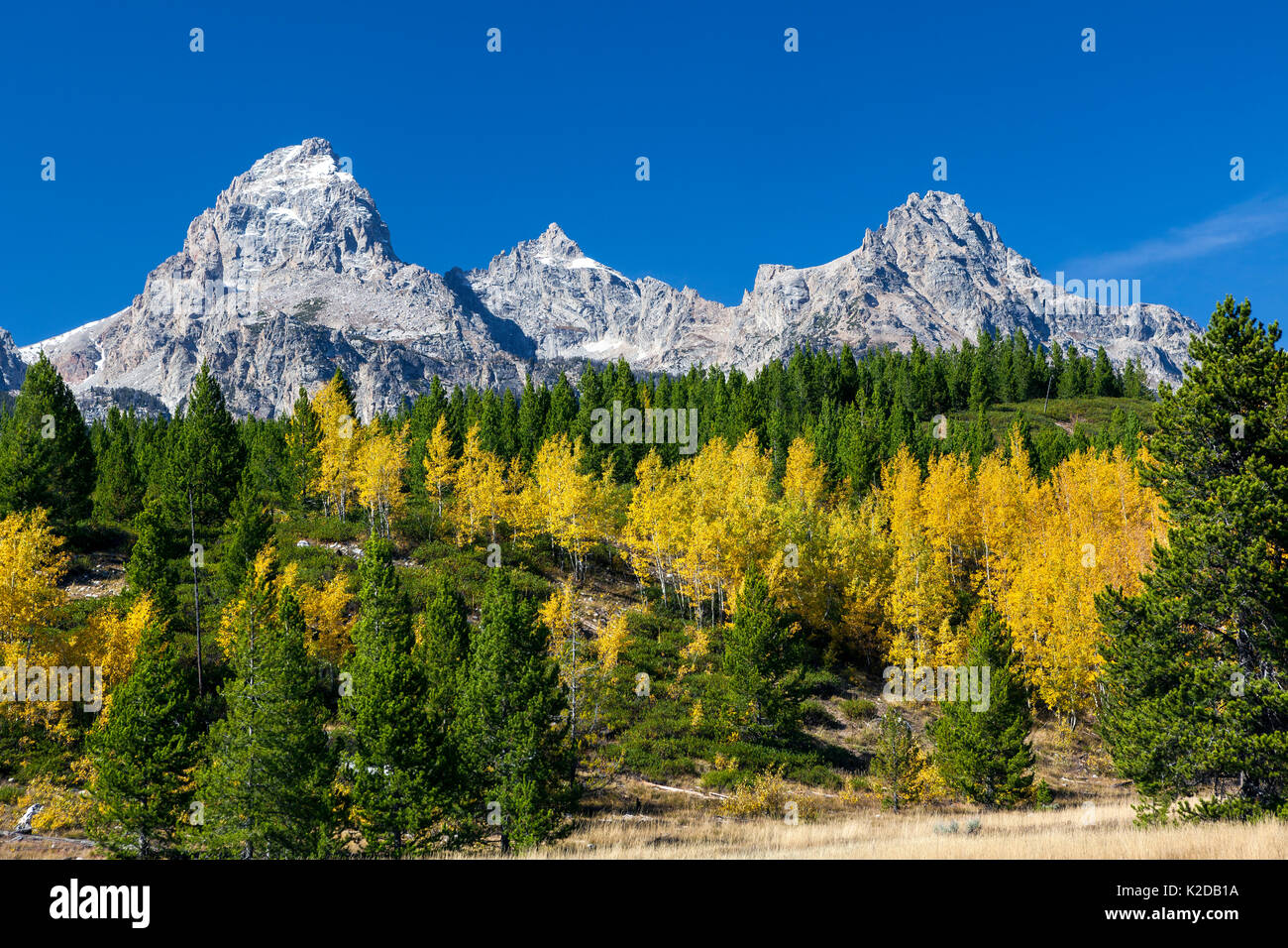 Teton gamma nel Parco Nazionale di Grand Teton, Wyoming negli Stati Uniti. Settembre 2015. Foto Stock