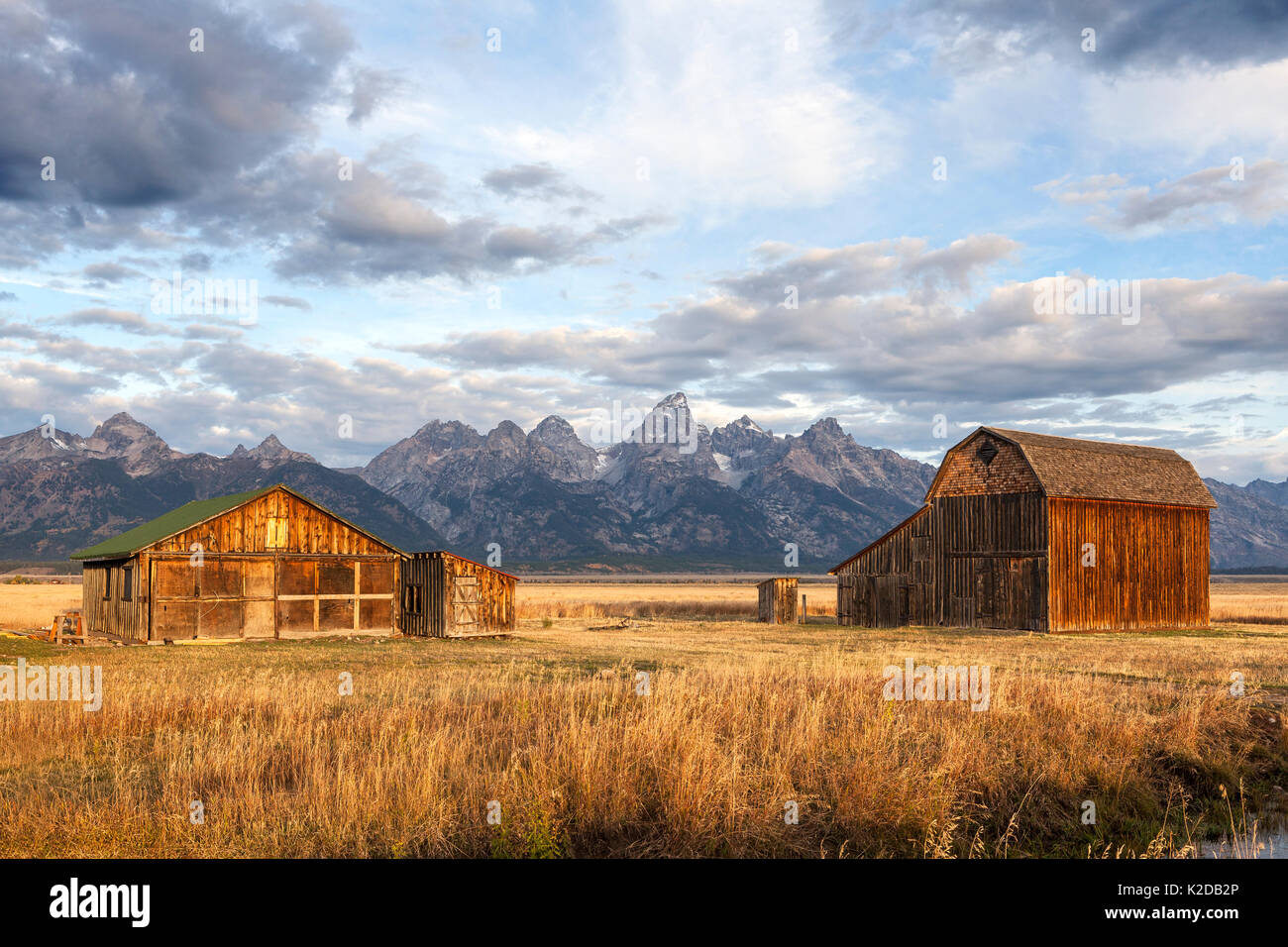 Teton range e granai su Thomas Murphy Homestead, Grand Teton National Park, Wyoming negli Stati Uniti. Settembre 2015. Foto Stock
