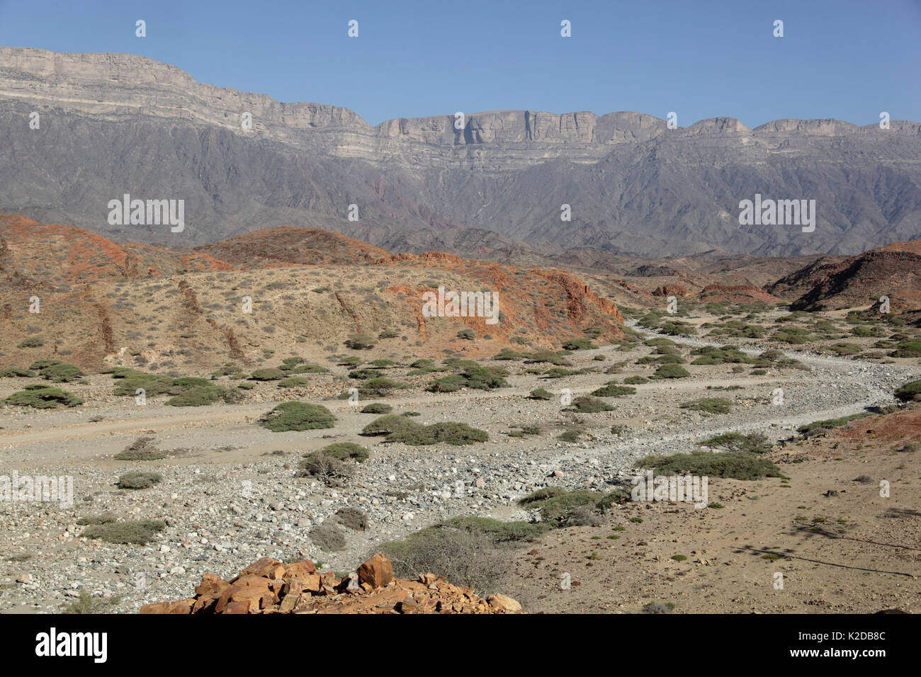 Jabal Samhan, montagne e wadi (letto asciutto del fiume), Oman, Dicembre 2012 Foto Stock