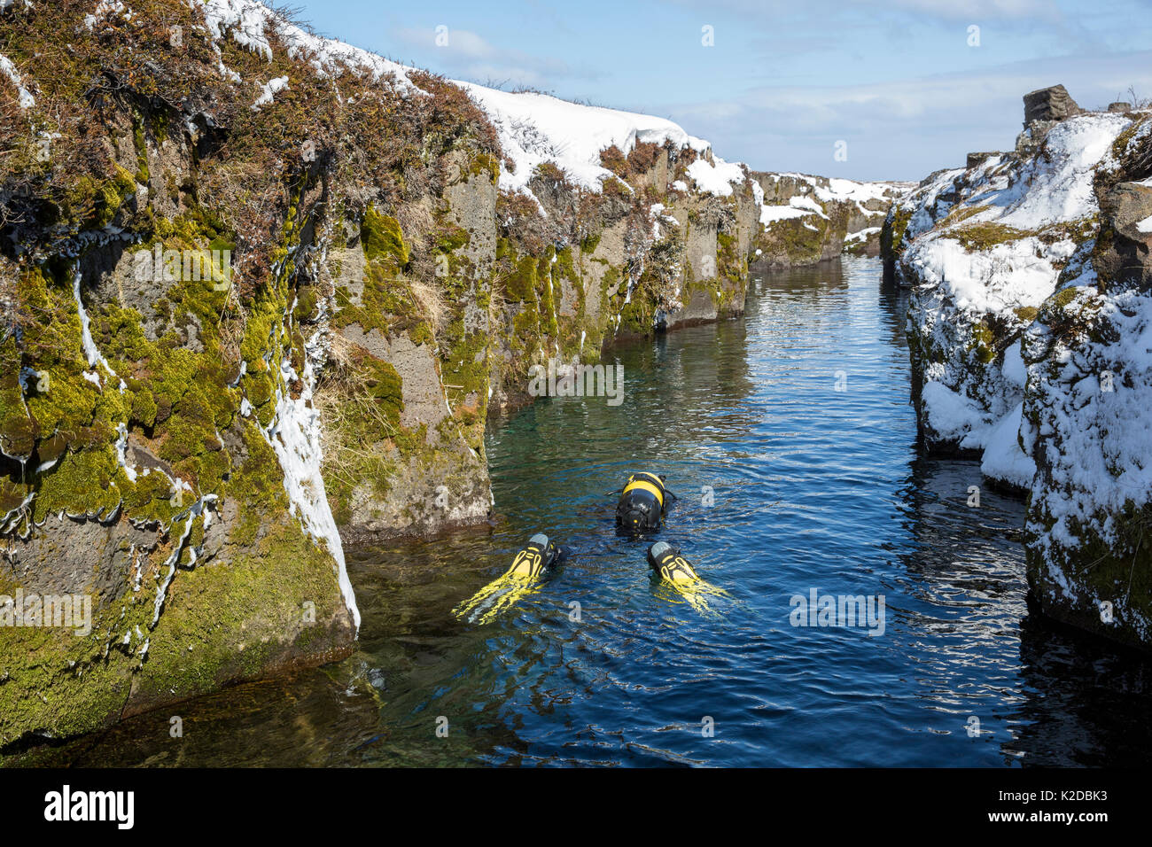 Scuba Diver all'interno del vulcanico Nesgja crack, Asbyrgi National Park, Nord Islanda Foto Stock
