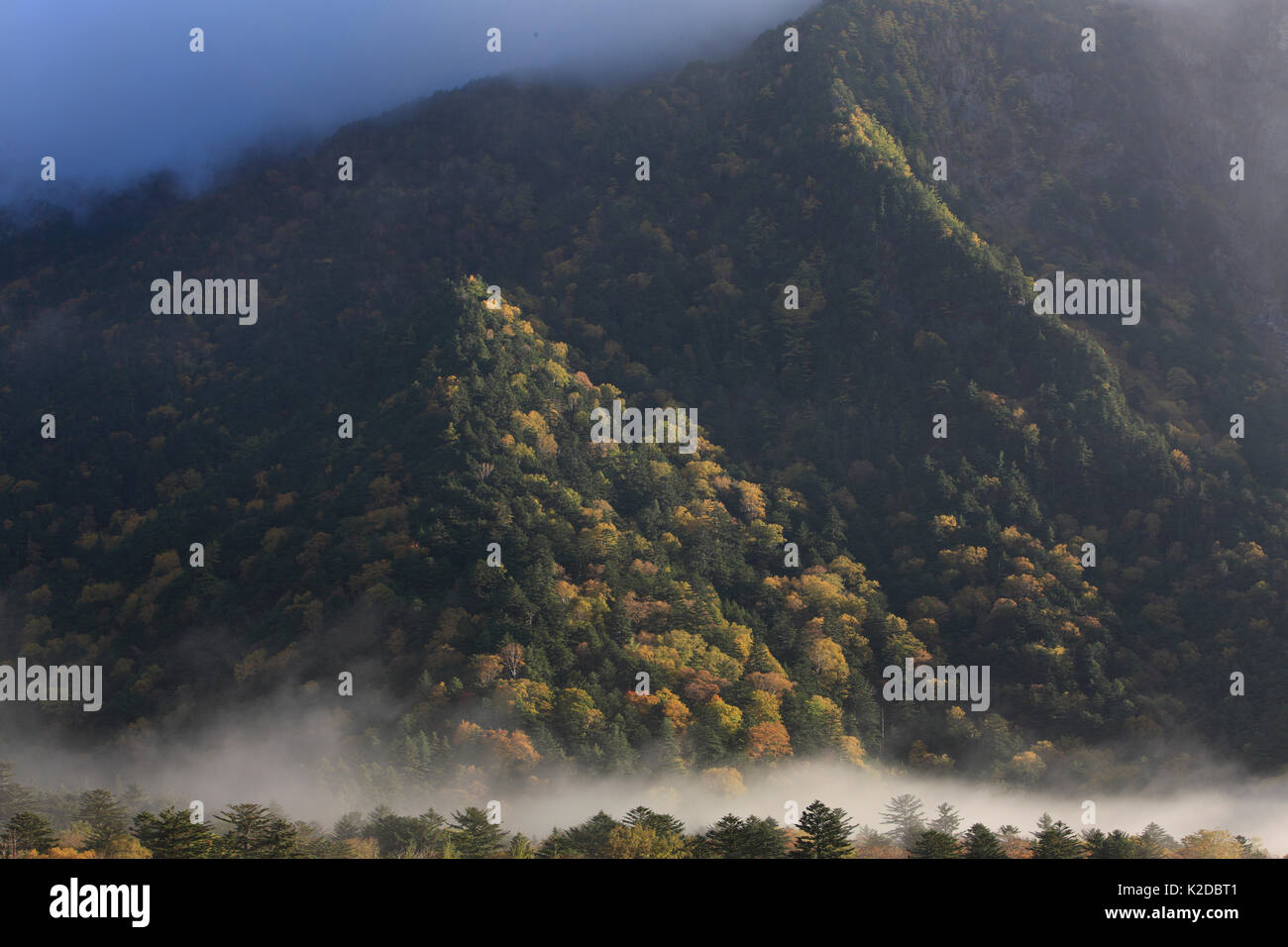 Vertice Dake-Sawa, Valle di Kamikochi, Honshu, Giappone, ottobre 2008. Foto Stock