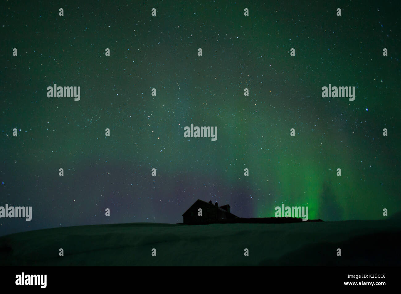 Aurora Boreale sopra Hornstrandir, Islanda. Aprile 2016 Foto Stock