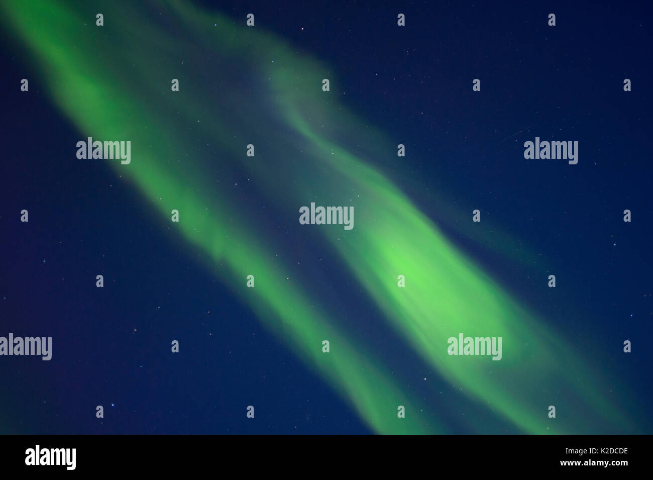 Aurora Boreale sopra Hornstrandir, Islanda. Aprile 2016 Foto Stock