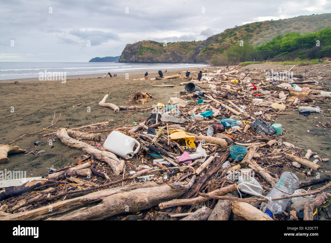 I rifiuti plastici e driftwood lavato in su la marea, Nancite Beach, Santa Rosa, il Parco Nazionale del Costa Rica. Novembre 2011. Foto Stock