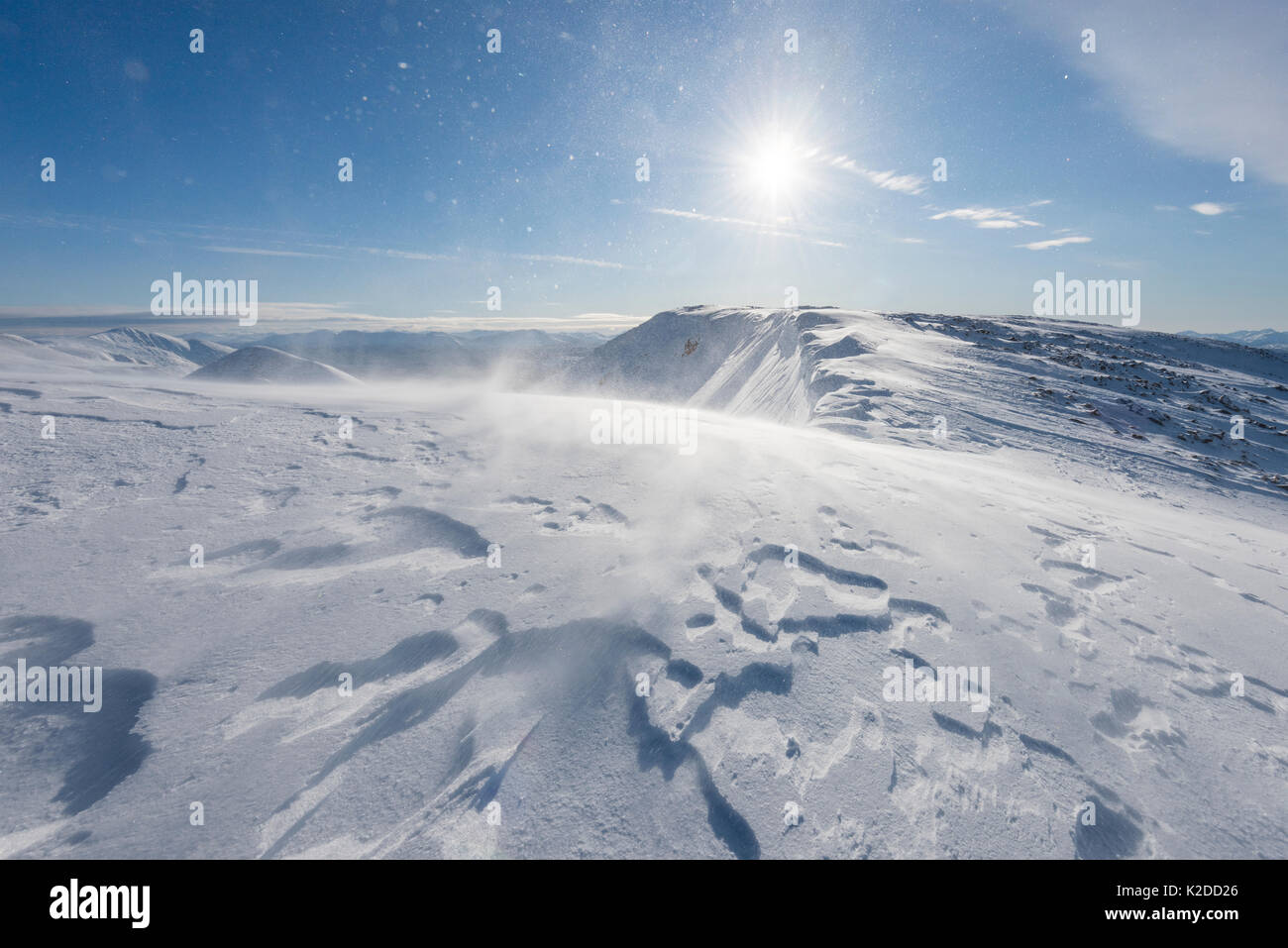 Vento neve soffiata al vertice di Ben Starav. Glen Etive, Highlands della Scozia, Regno Unito, Gennaio 2016. Foto Stock
