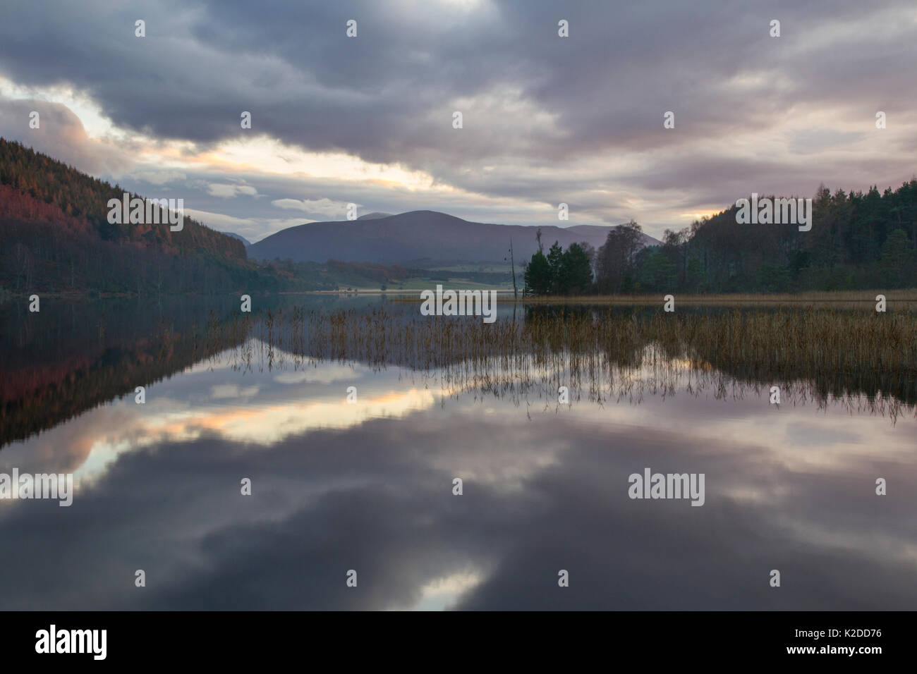 Loch Pityoulish al crepuscolo, Cairngorms National Park, Scotland, Regno Unito, novembre 2014. Foto Stock