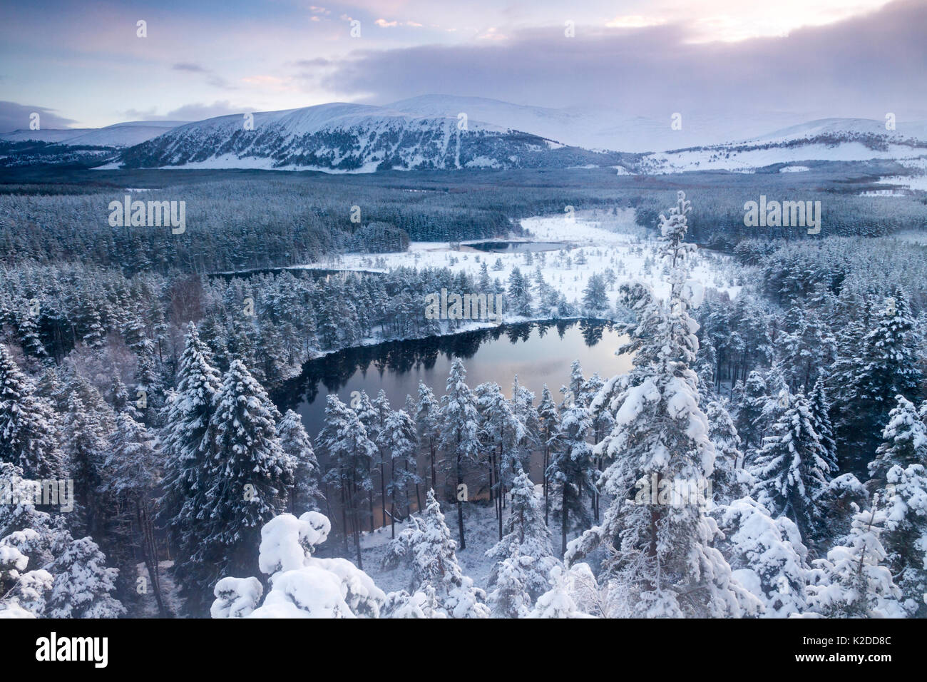 Vista su Uath Lochans prima del sorgere del sole dopo la nevicata, Cairngorms National Park, Scotland, Regno Unito, novembre 2015. Foto Stock