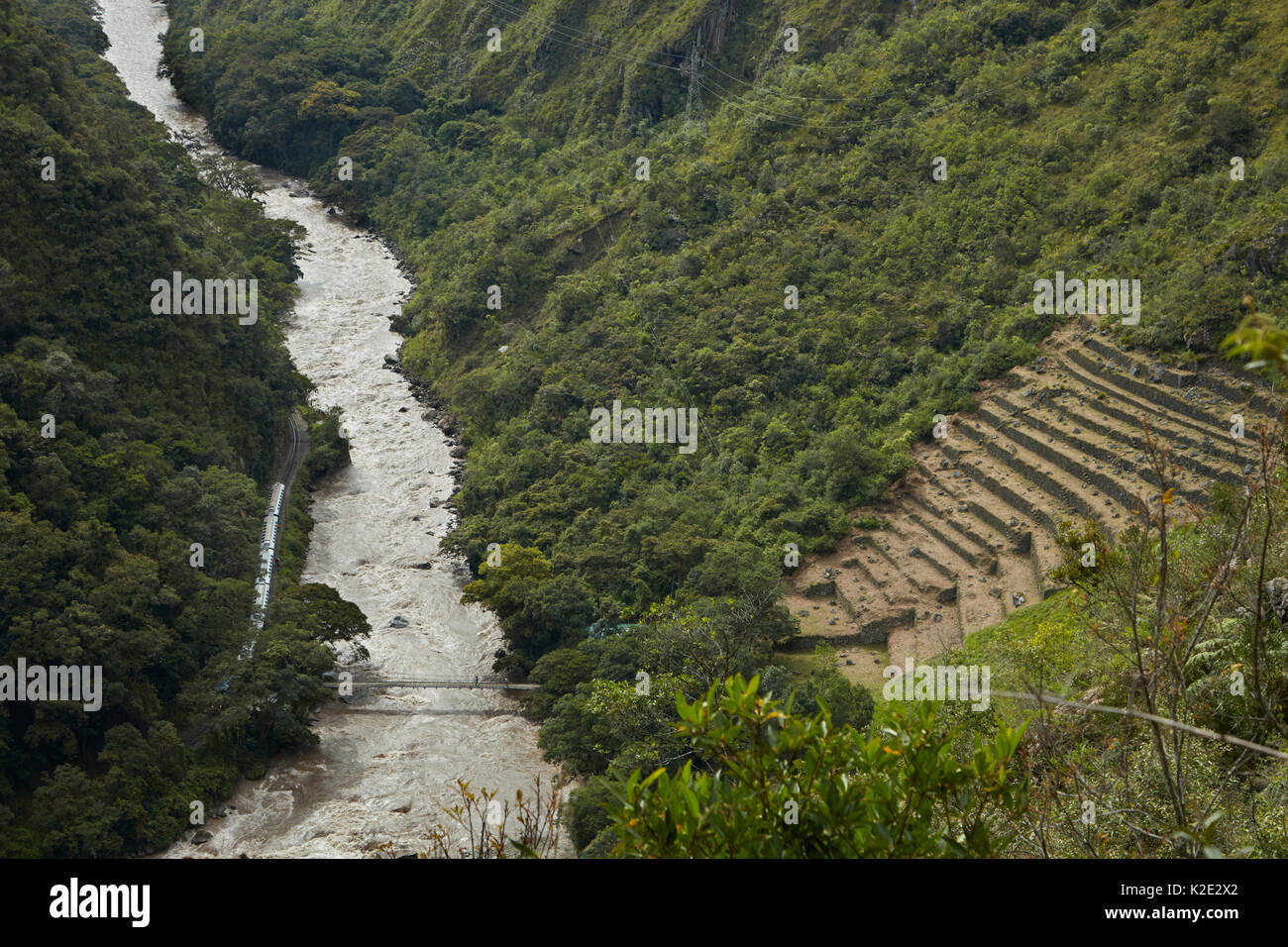 Treno accanto al fiume Urubamba e Cachabamba rovine Inca sul breve cammino Inca di Machu Picchu, Perù, Sud America Foto Stock