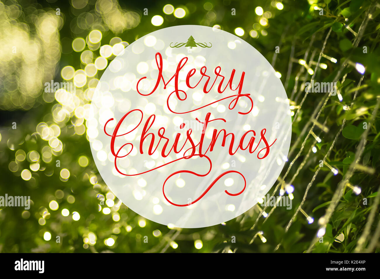 Buon Natale la parola e l albero di natale icona sulla a sfocare lo sfondo di albero verde decorazione con luce bokeh,Holiday greeting card. Foto Stock