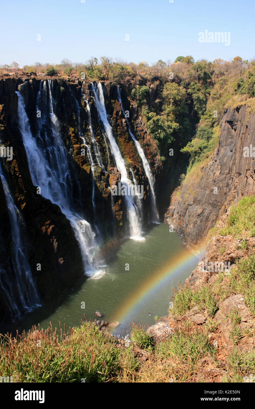 Rainbow formando a Victoria Falls a Livingstone, Zambia sul fiume Zambesi Foto Stock