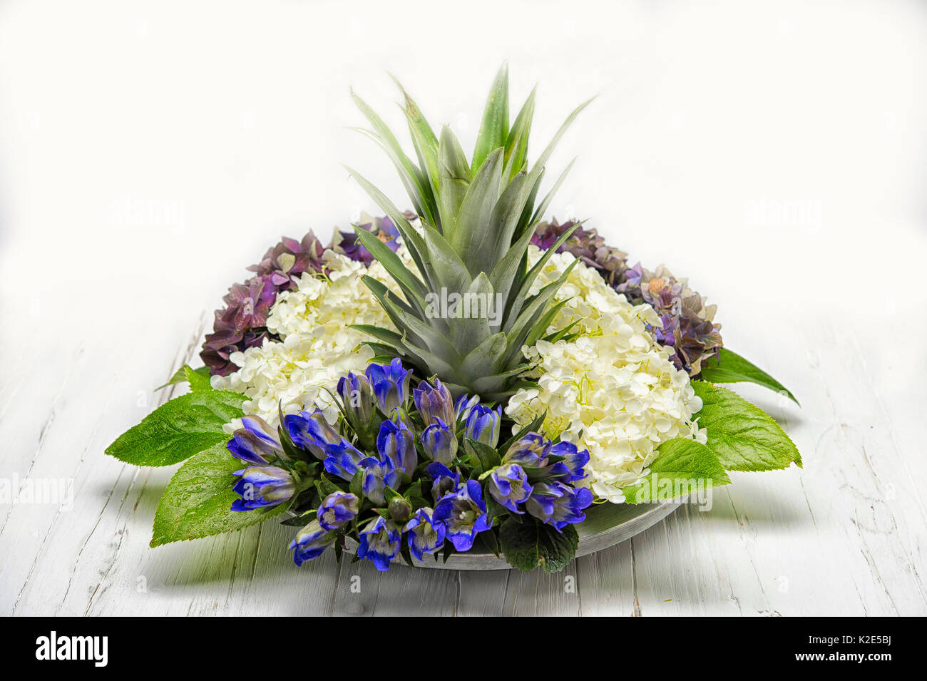 Fiori in vaso, bianco Wild ortensia (Hydrangea arborescens), blu ortensia (Hydrangea mycrophylla), Genziana Foto Stock