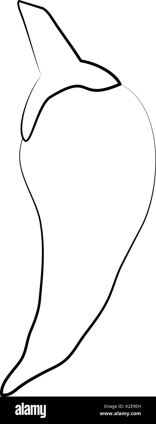 Linea piatta peperoncino incolore su sfondo bianco illustrazione vettoriale Illustrazione Vettoriale