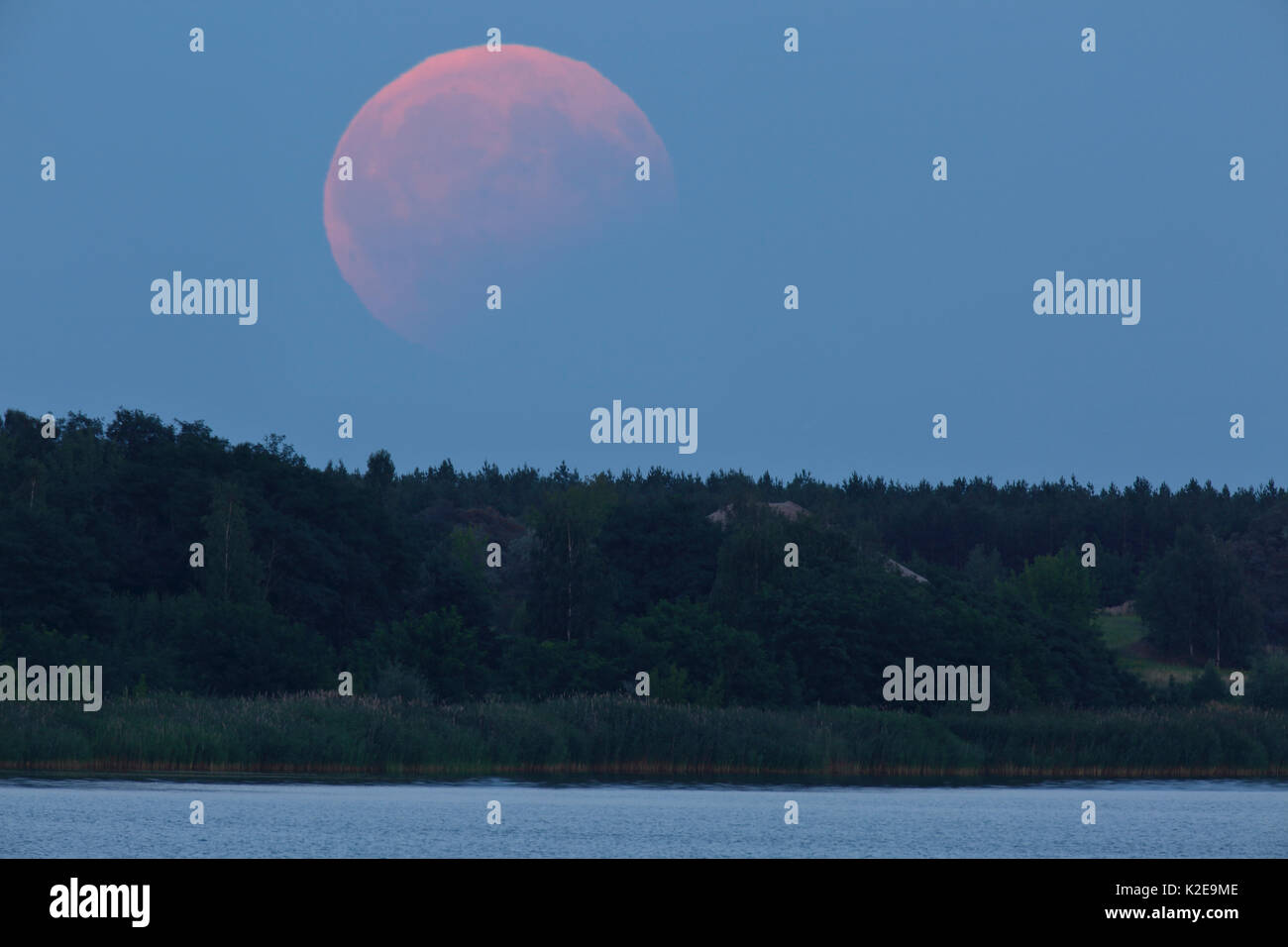 Eclissi lunare parziale su 07/08/2017, Riserva della Biosfera Mittlere Elbe, Sassonia-Anhalt, Germania Foto Stock