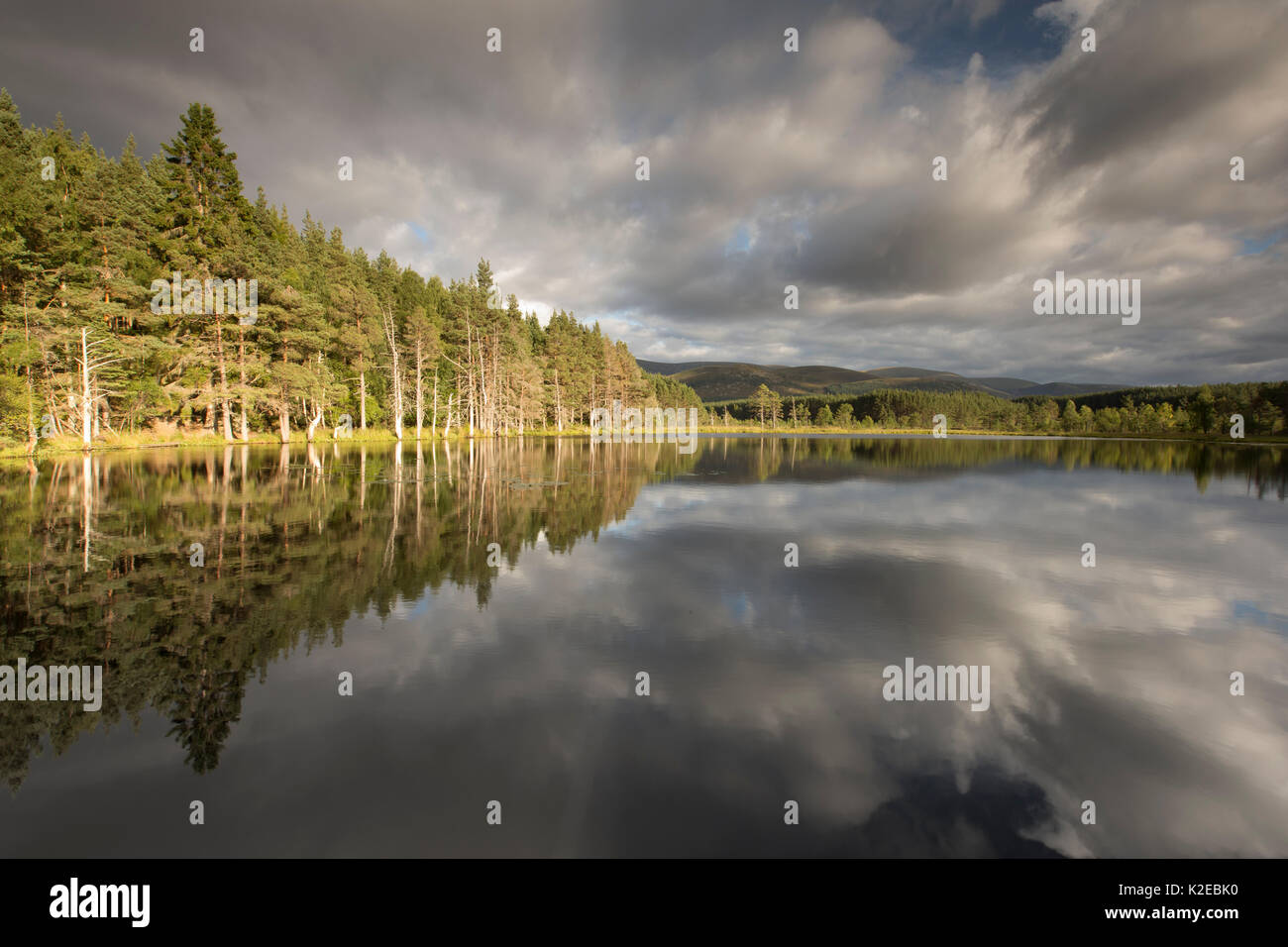 Lochan nella luce della sera, Uath Lochans, Glenfeshie, Cairngorms National Park, Scozia, settembre 2013. Foto Stock