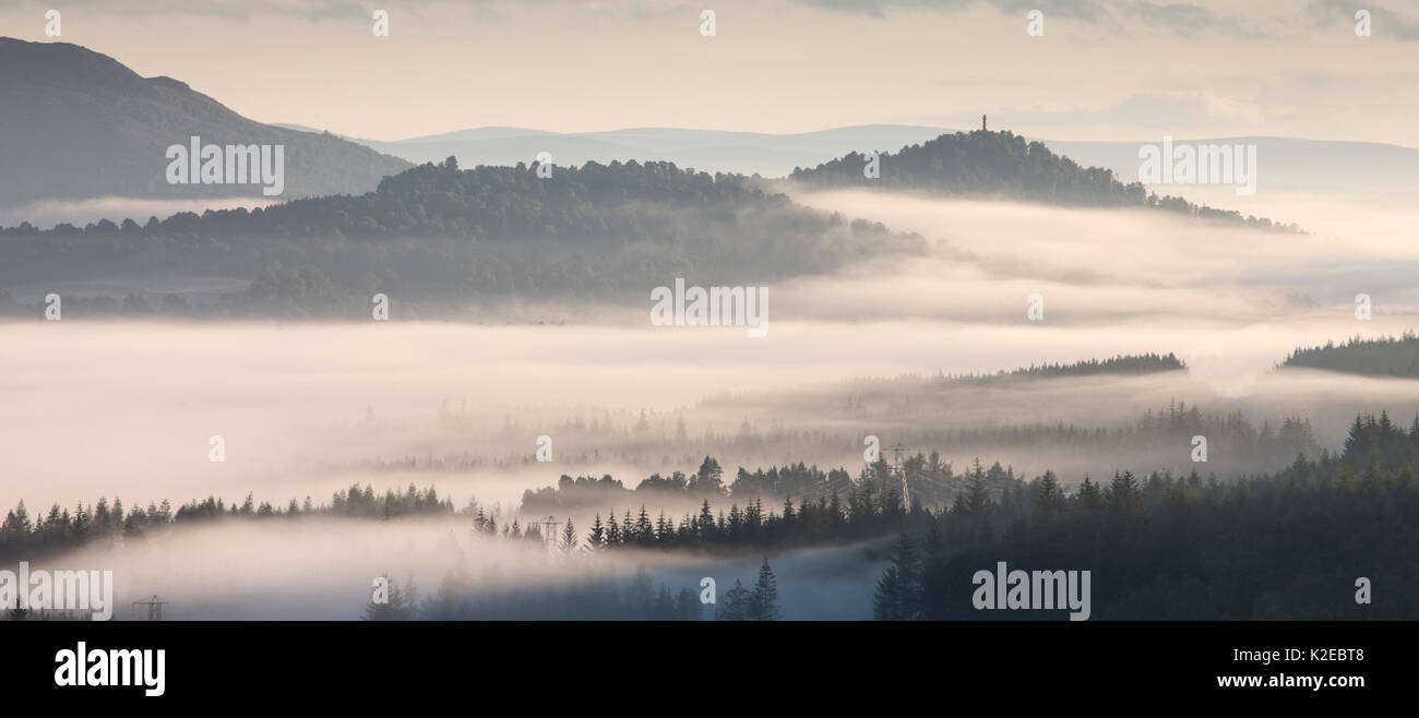 Nebbia di mattina su Strathspey, Cairngorms National Park, Scozia, Agosto 2014. Foto Stock