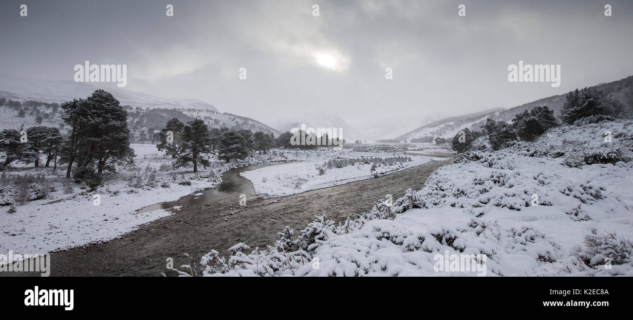 Fiume Feshie in inverno, Glenfeshie, Cairngorms National Park, Scozia, Gennaio 2015. Foto Stock
