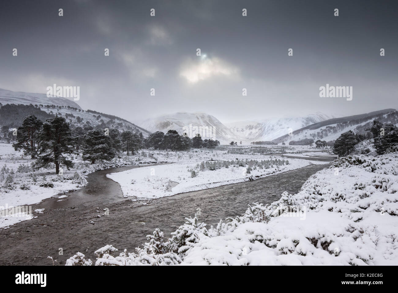Canale intrecciato del fiume Feshie in inverno, Glenfeshie, Cairngorms National Park, Scozia, Gennaio 2015. Foto Stock