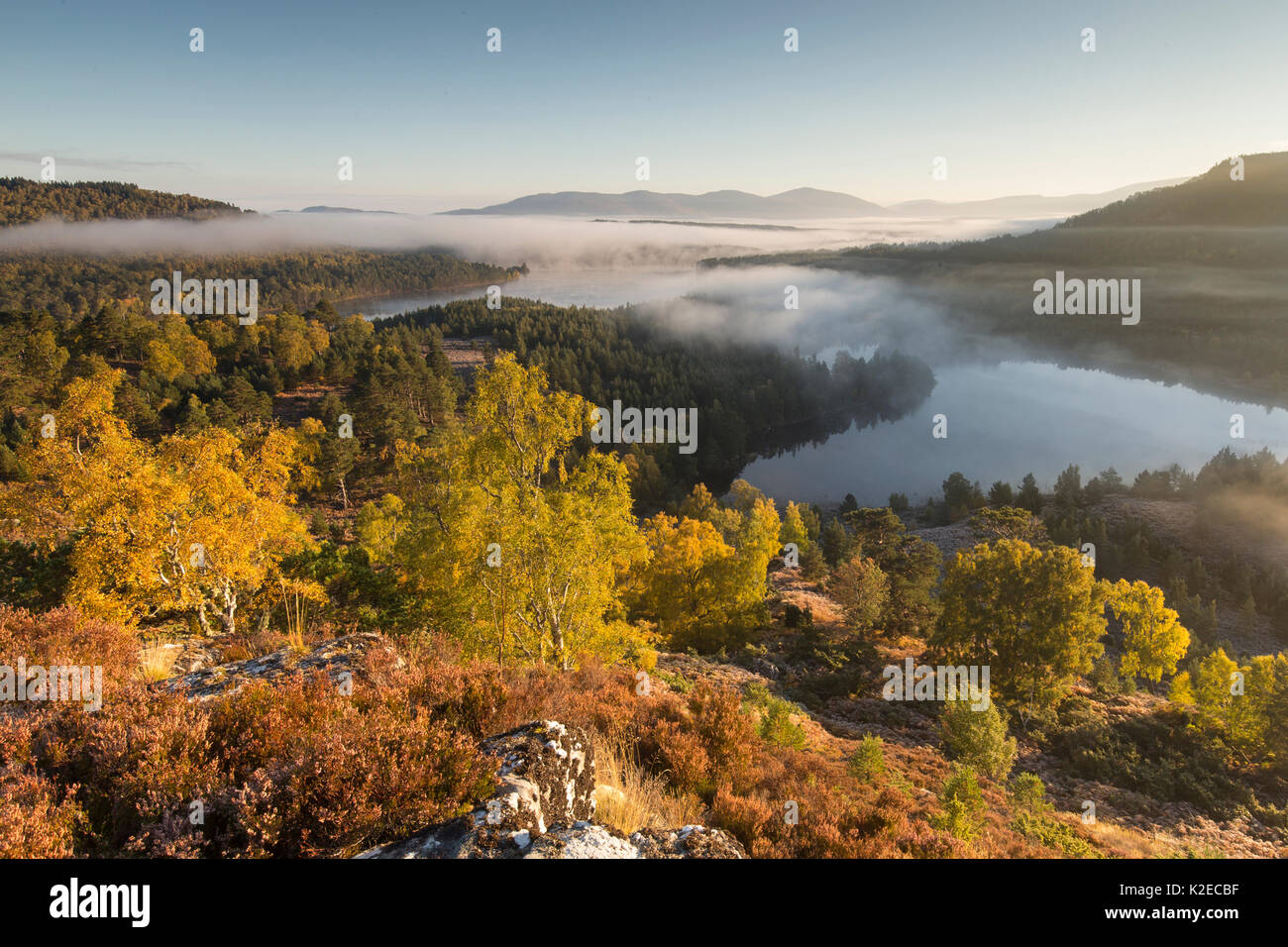 Alba sul Loch Gamhna e Loch un Eilein, Cairngorms National Park, Scozia, Regno Unito, ottobre 2015. Foto Stock