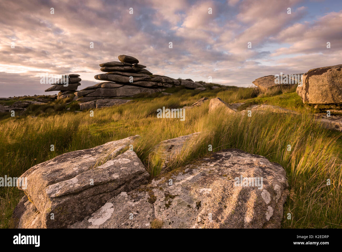 Stowe's Hill in tarda serata luce, Bodmin Moor, Cornwall, Inghilterra, Regno Unito. Luglio 2015. Foto Stock