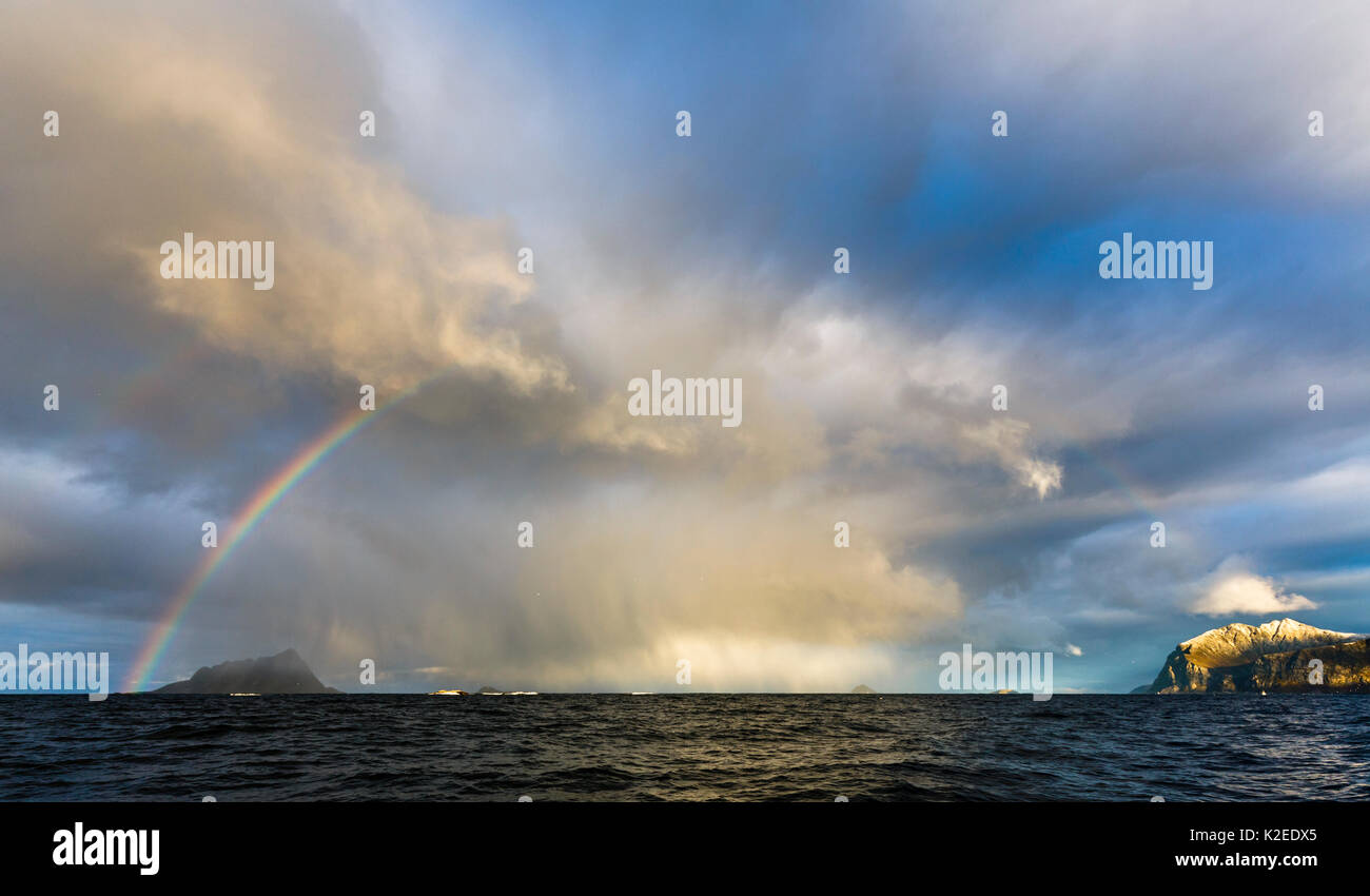 Rainbow oltre il paesaggio costiero con bird cliff 'Sorfugloy' sulla sinistra, Troms, Norvegia, Ottobre Foto Stock