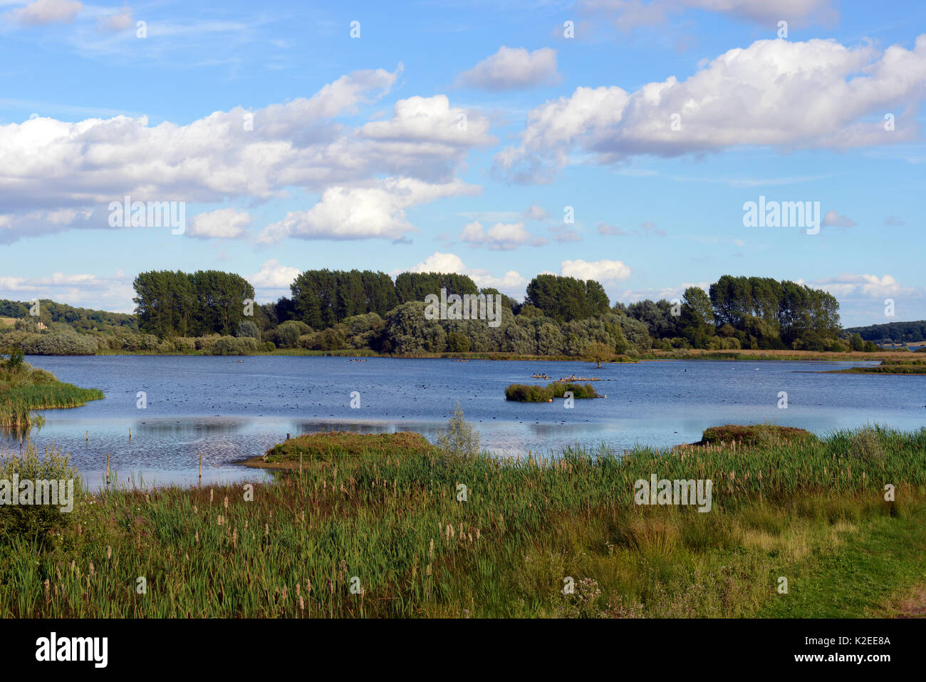 Vista di Rutland acqua Riserva Naturale, sito RAMSAR, zona di protezione speciale e siti di particolare interesse scientifico, agosto 2016, Egleton, Rutland, Inghilterra. Foto Stock