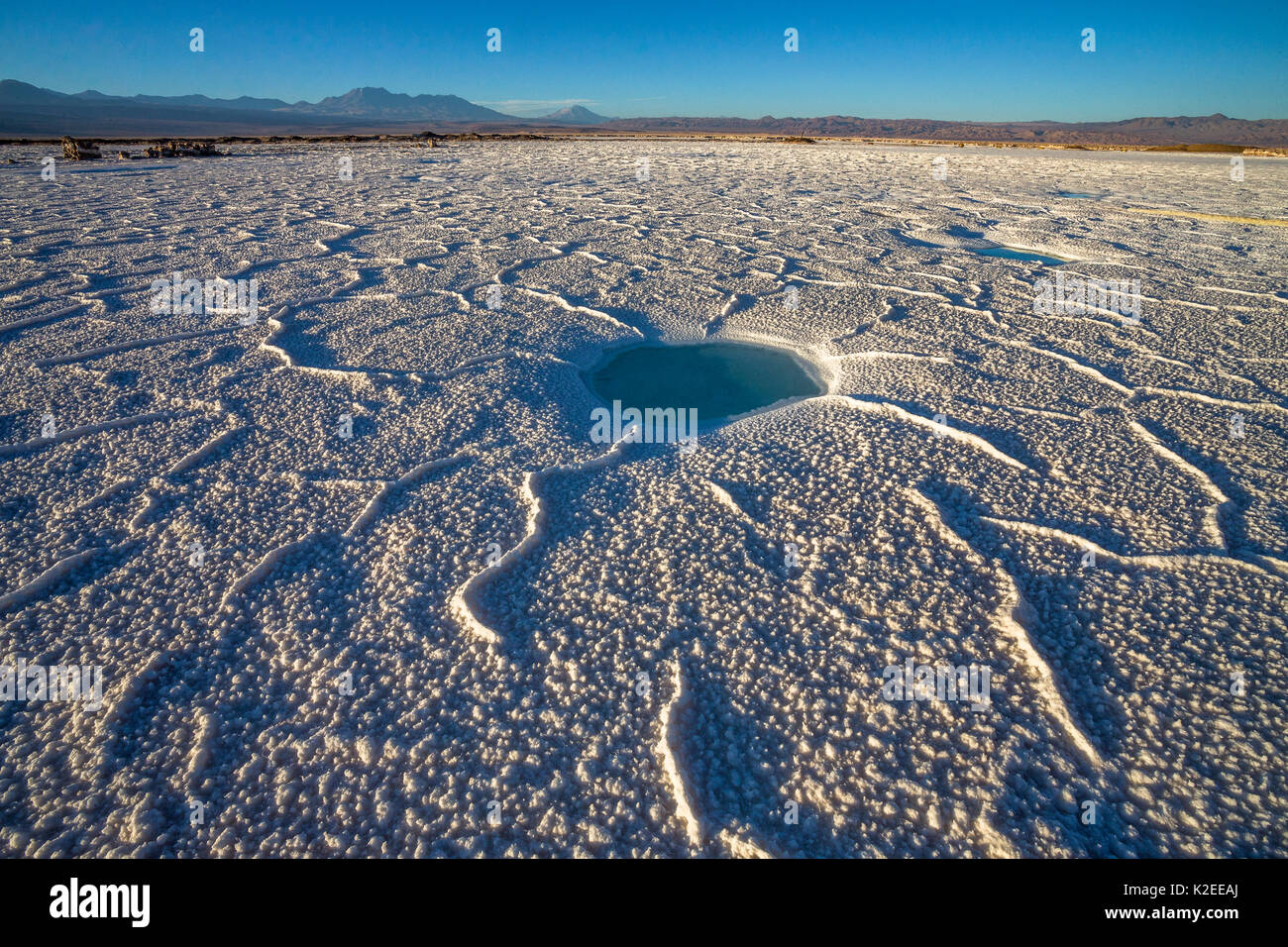 Wet salina nel deserto di Atacama, altezza di 2311m sopra il livello del mare, Cile Foto Stock