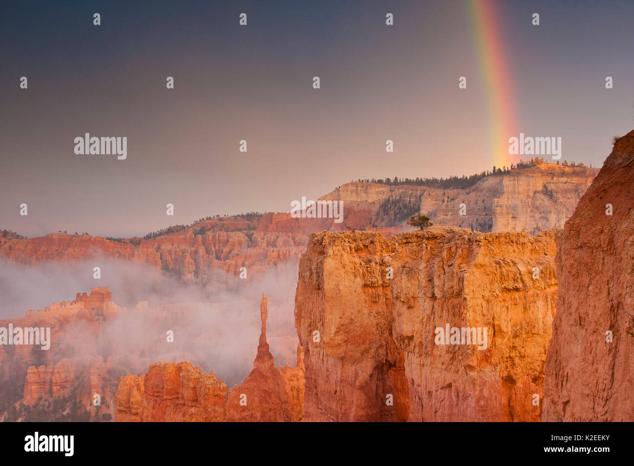 Arcobaleno dopo un assalto nel Parco Nazionale di Bryce Canyon, Utah, Stati Uniti d'America. Foto Stock