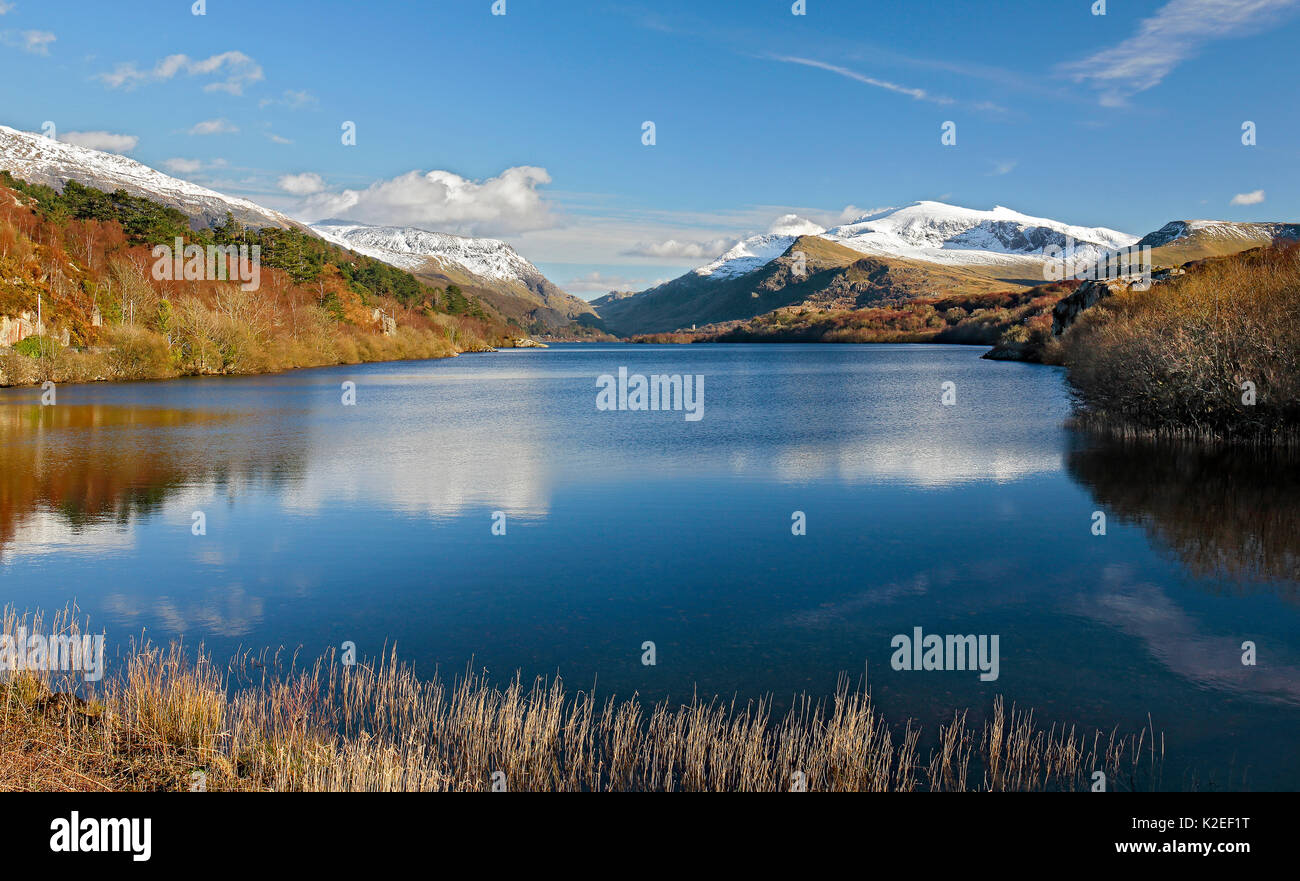 Llyn Padarn visto dall'estremità nord verso LLanberis con Mount Snowdon in fondo a destra nel tardo pomeriggio di luce, Snowdonia, il Galles del Nord, Regno Unito, Marzo. Foto Stock