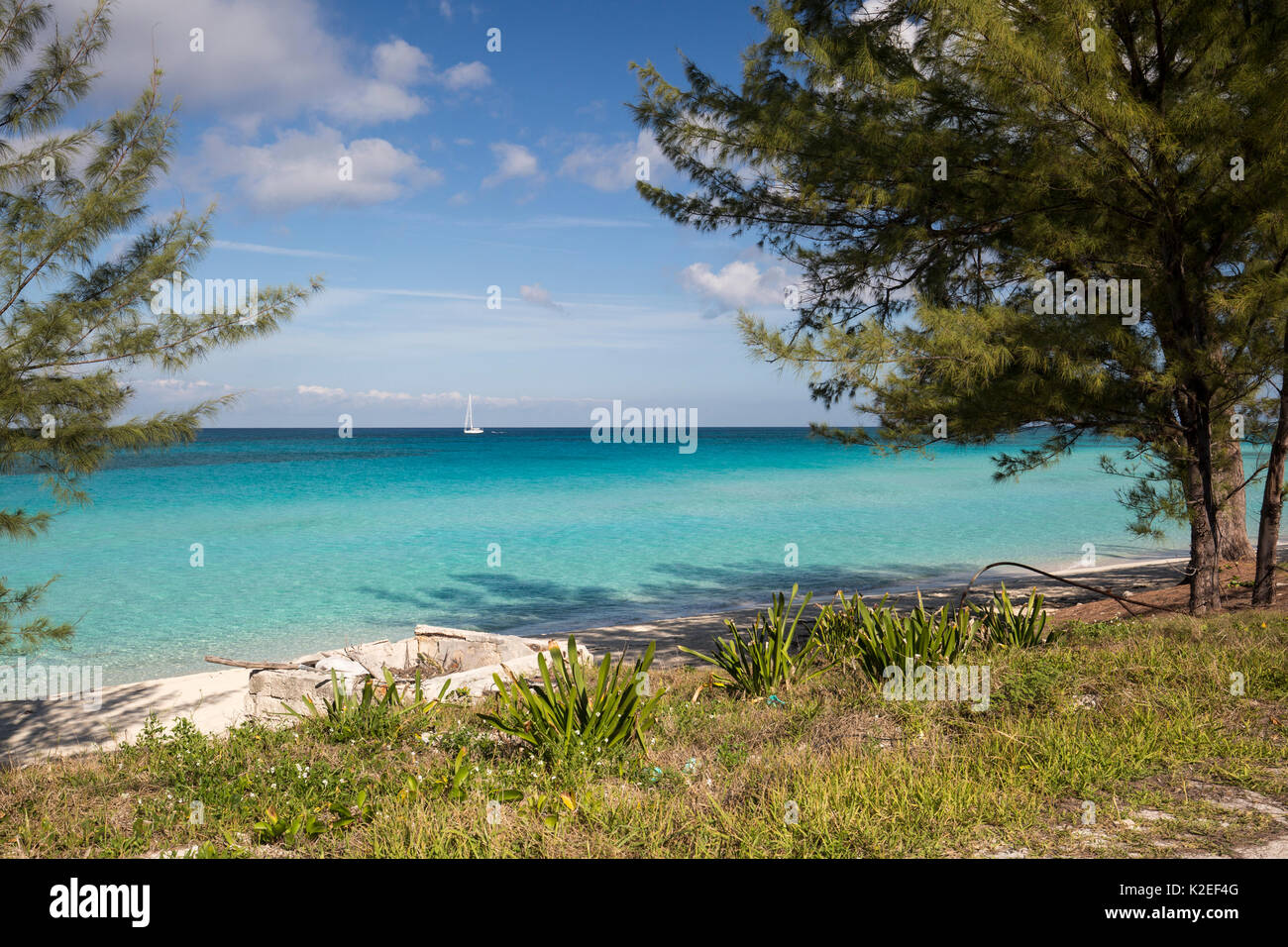 Mare calmo con una barca in lontananza e la spiaggia, South Bimini, Bahamas. Il Bahamas nazionale santuario di squalo, West Oceano Atlantico. Foto Stock