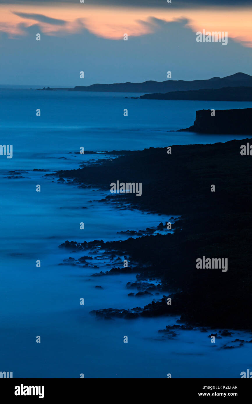 Costa, Socorro Island, Revillagigedo Arcipelago Riserva della Biosfera / Archipielago de Revillagigedo Patrimonio Naturale dell'UNESCO (Socorro isole), Oceano Pacifico, Messico occidentale, Luglio Foto Stock