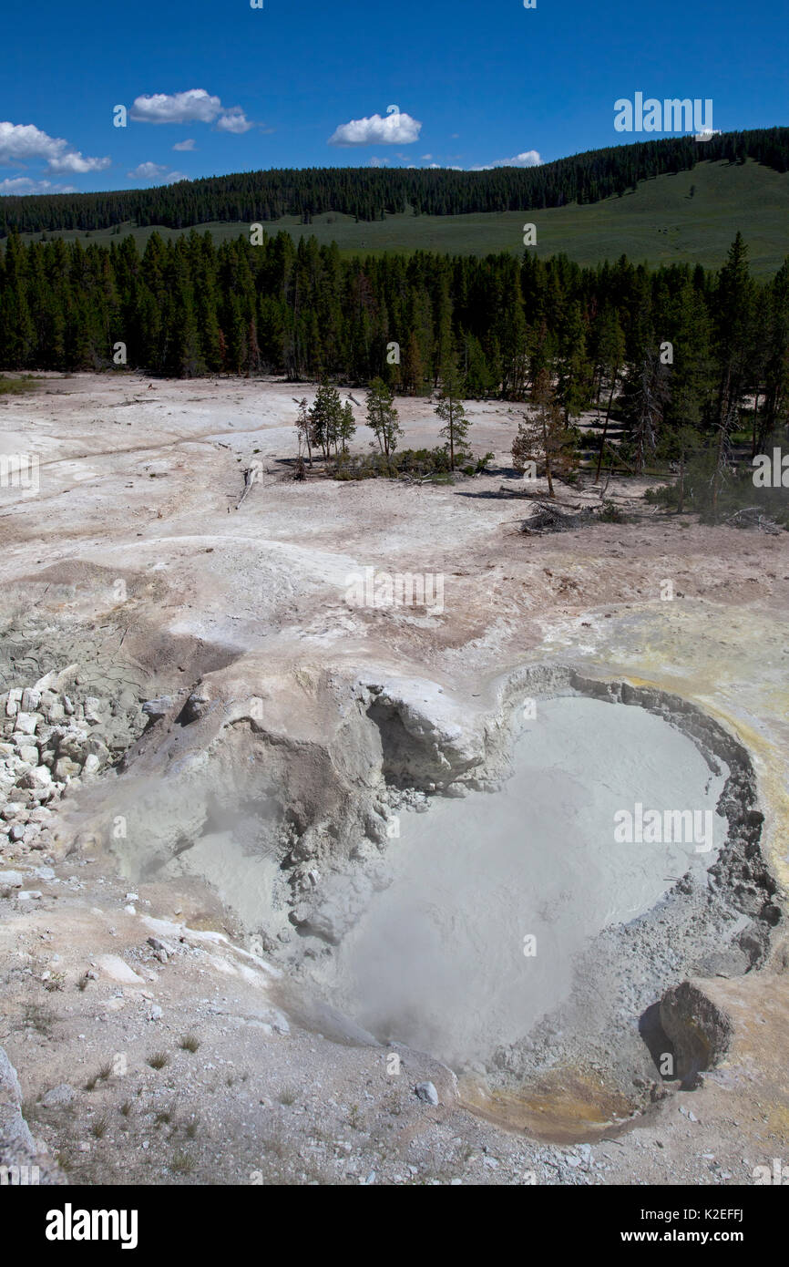 Calderone di zolfo nel fango Area del vulcano, Hayden Valley, il Parco Nazionale di Yellowstone, Wyoming USA, Giugno 2015 Foto Stock