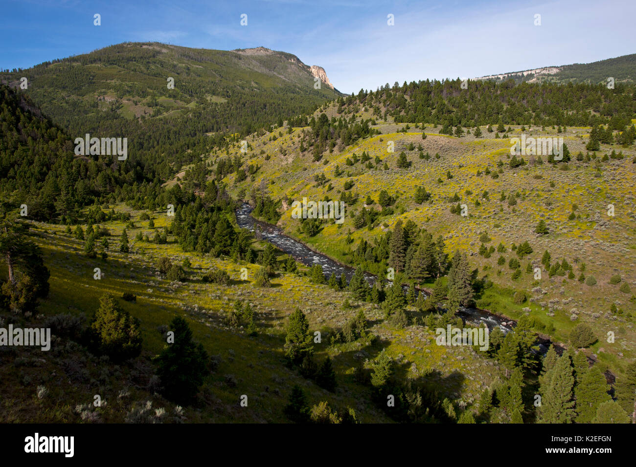 Gardiner Fiume e valle, il Parco Nazionale di Yellowstone, Wyoming negli Stati Uniti. Giugno 2015 Foto Stock