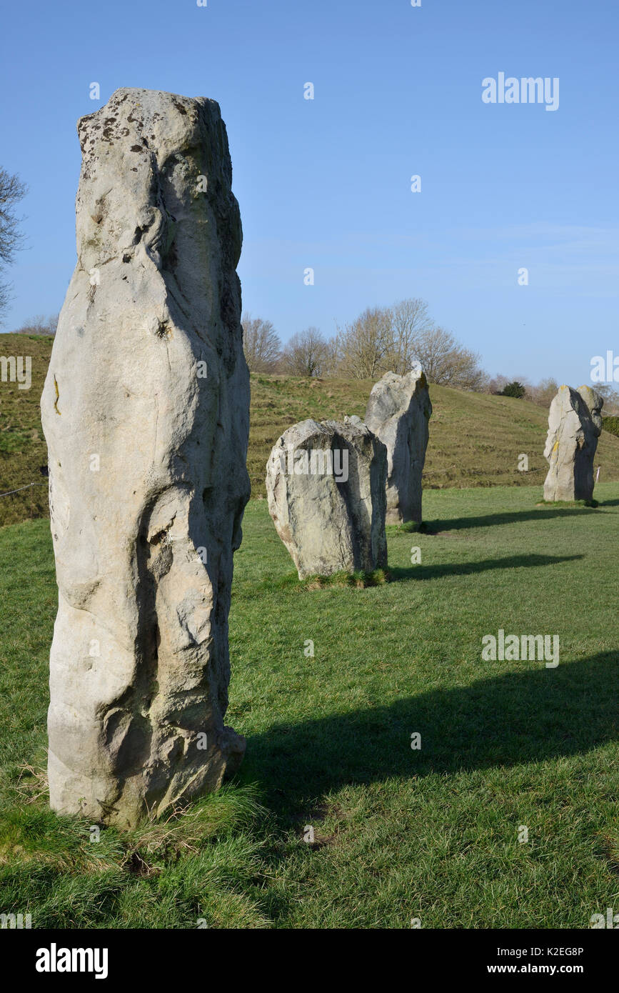 Il neolitico megaliti, Avebury Stone Circle, Wiltshire, Regno Unito, febbraio 2014. Foto Stock