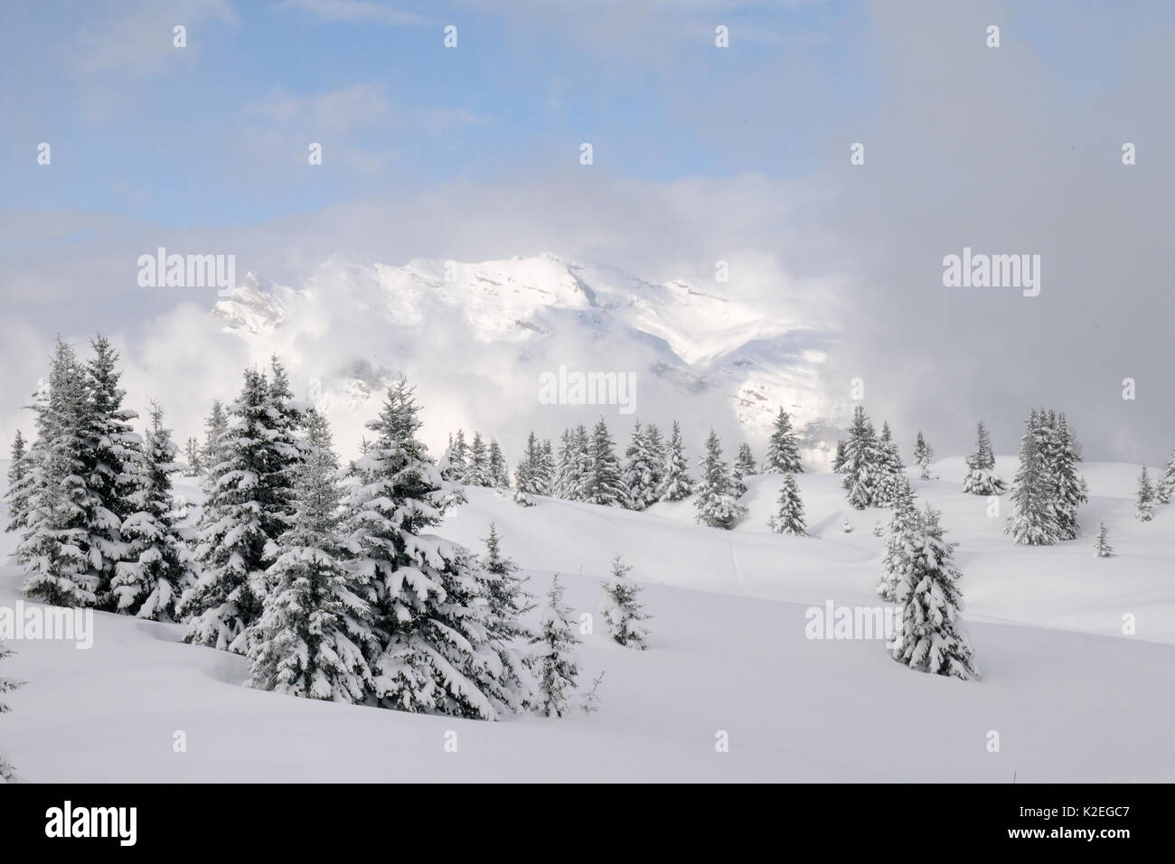 Paesaggio alpino dopo la neve fresca, Hauteluce, Alta Savoia, Francia, febbraio 2013. Foto Stock